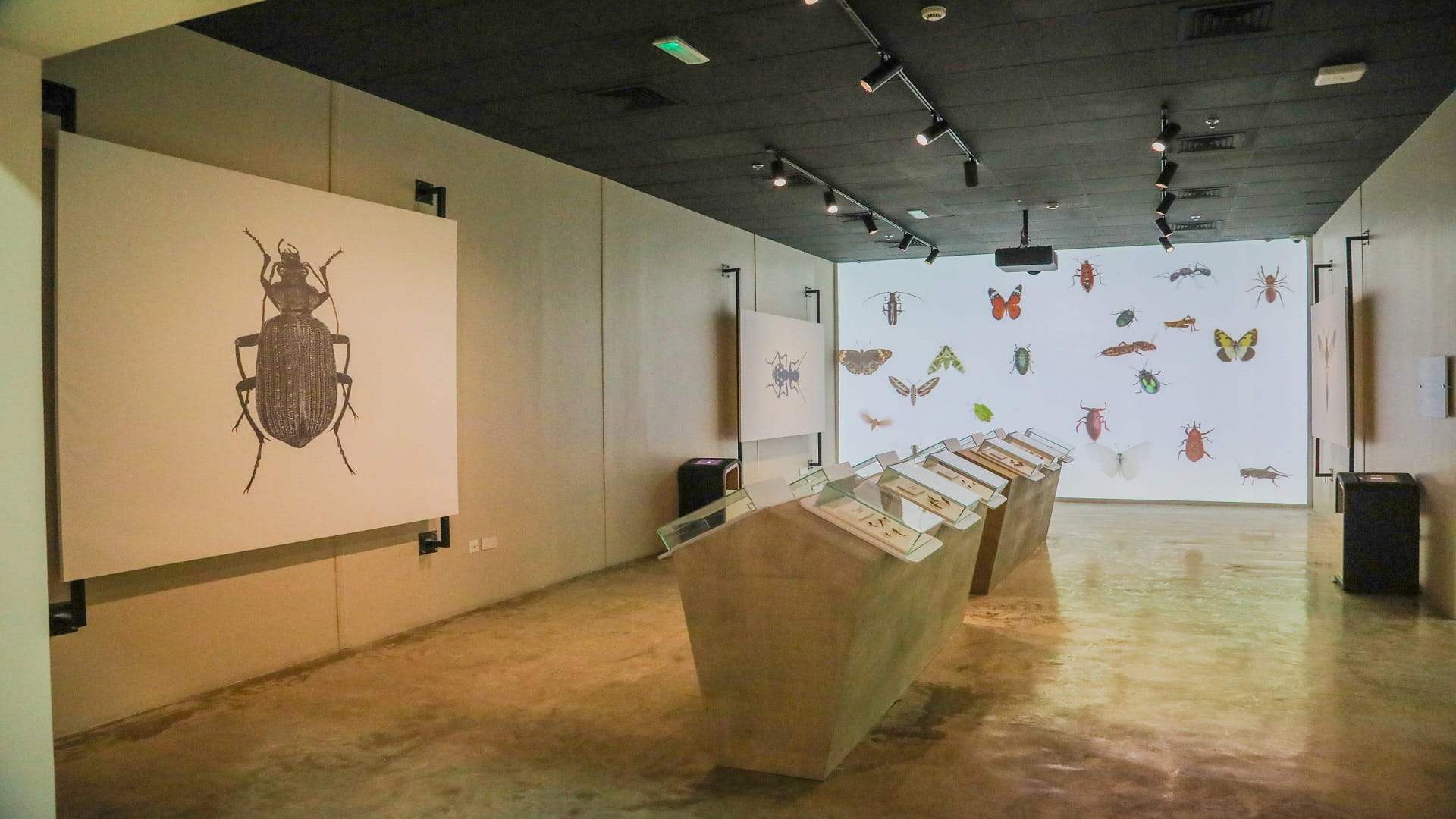 صورة بعنوان: مراكز "البيئة والمحميات" تستقبل 25 ألف زائر منذ الأول من ديسمبر 