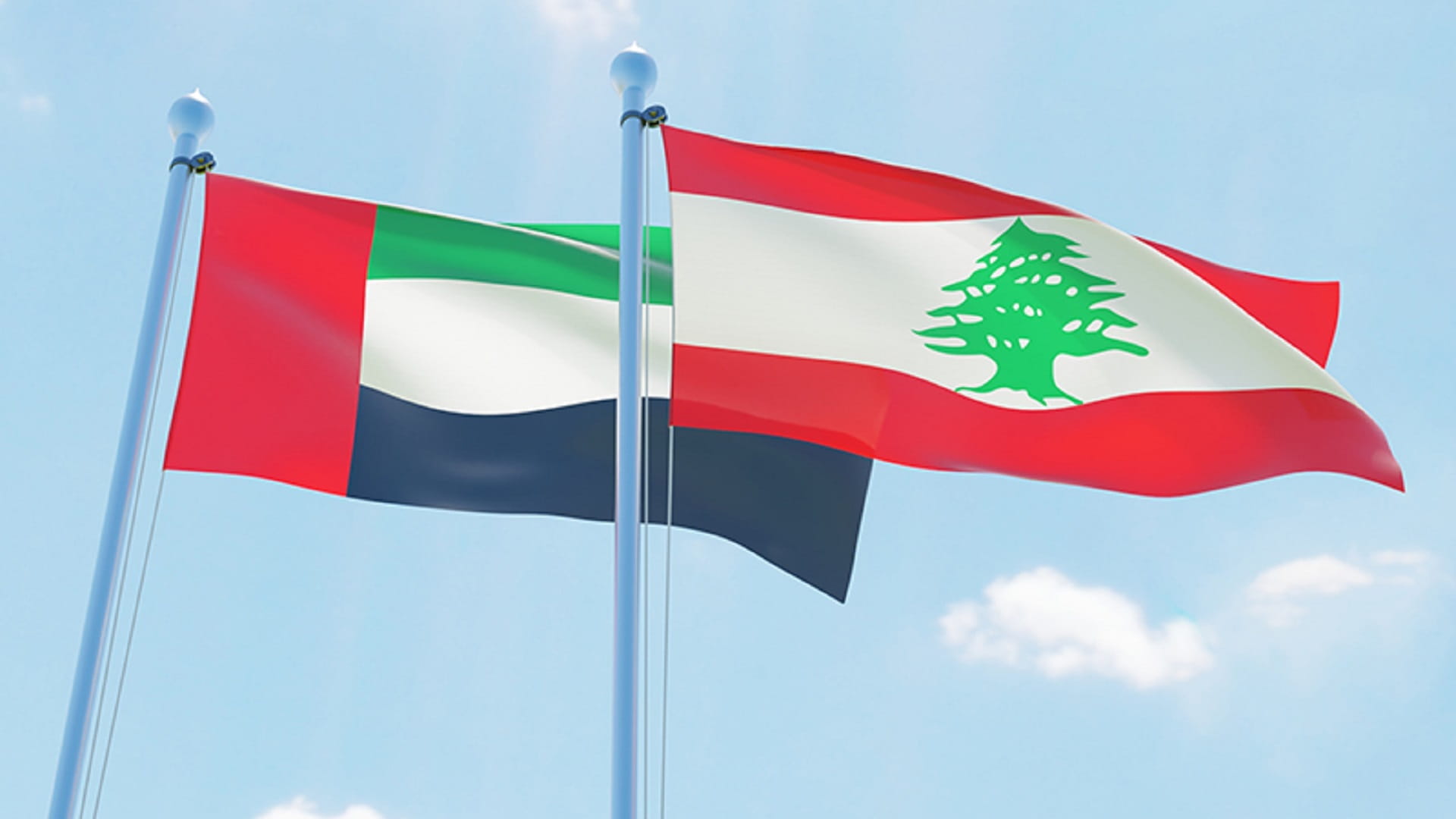 Image for the title: UAE Embassy in Lebanon distributes 10,000 food parcels 