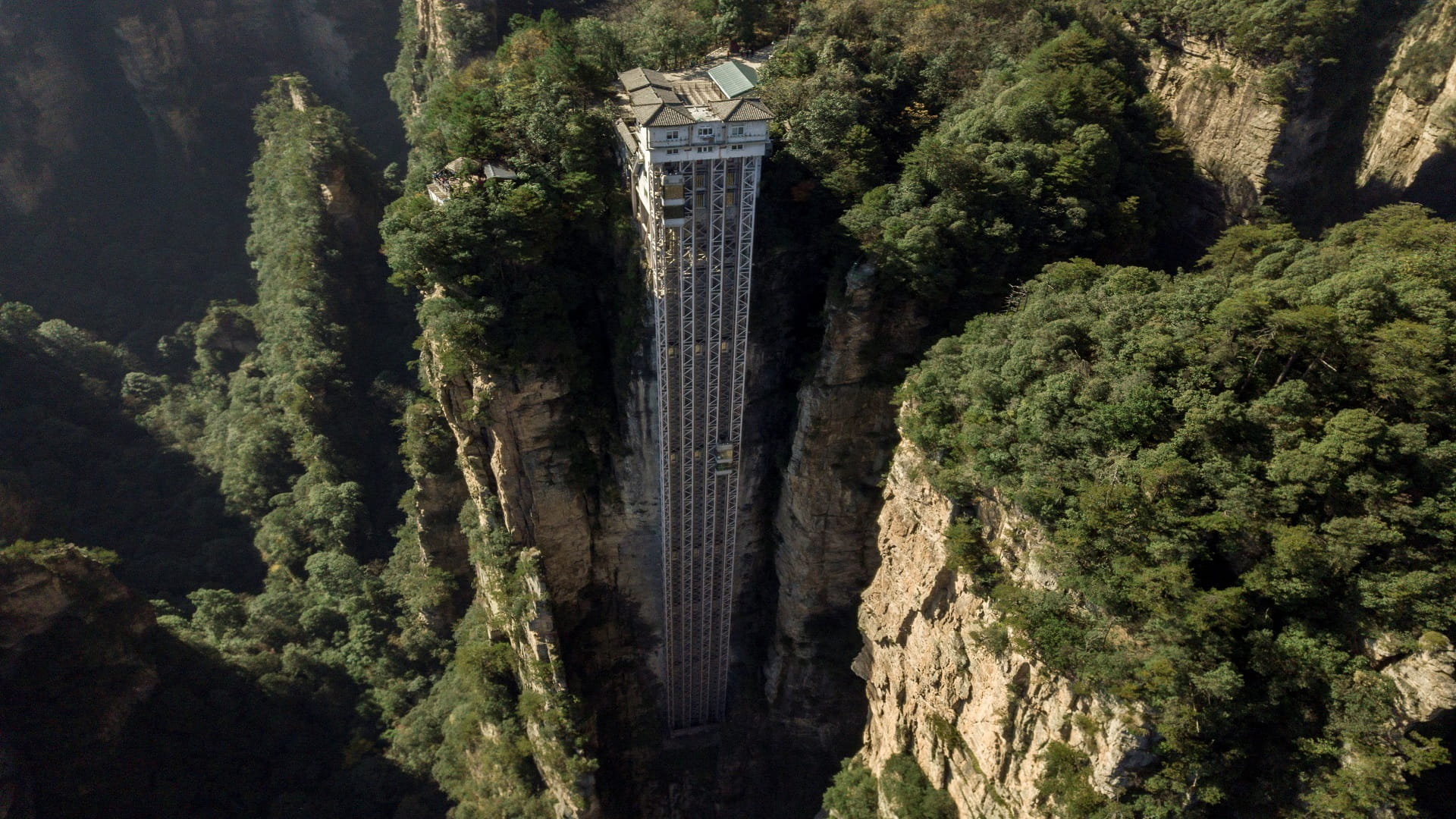 Image for the title: World's highest lift zips tourists up China's 'Avatar' cliff 