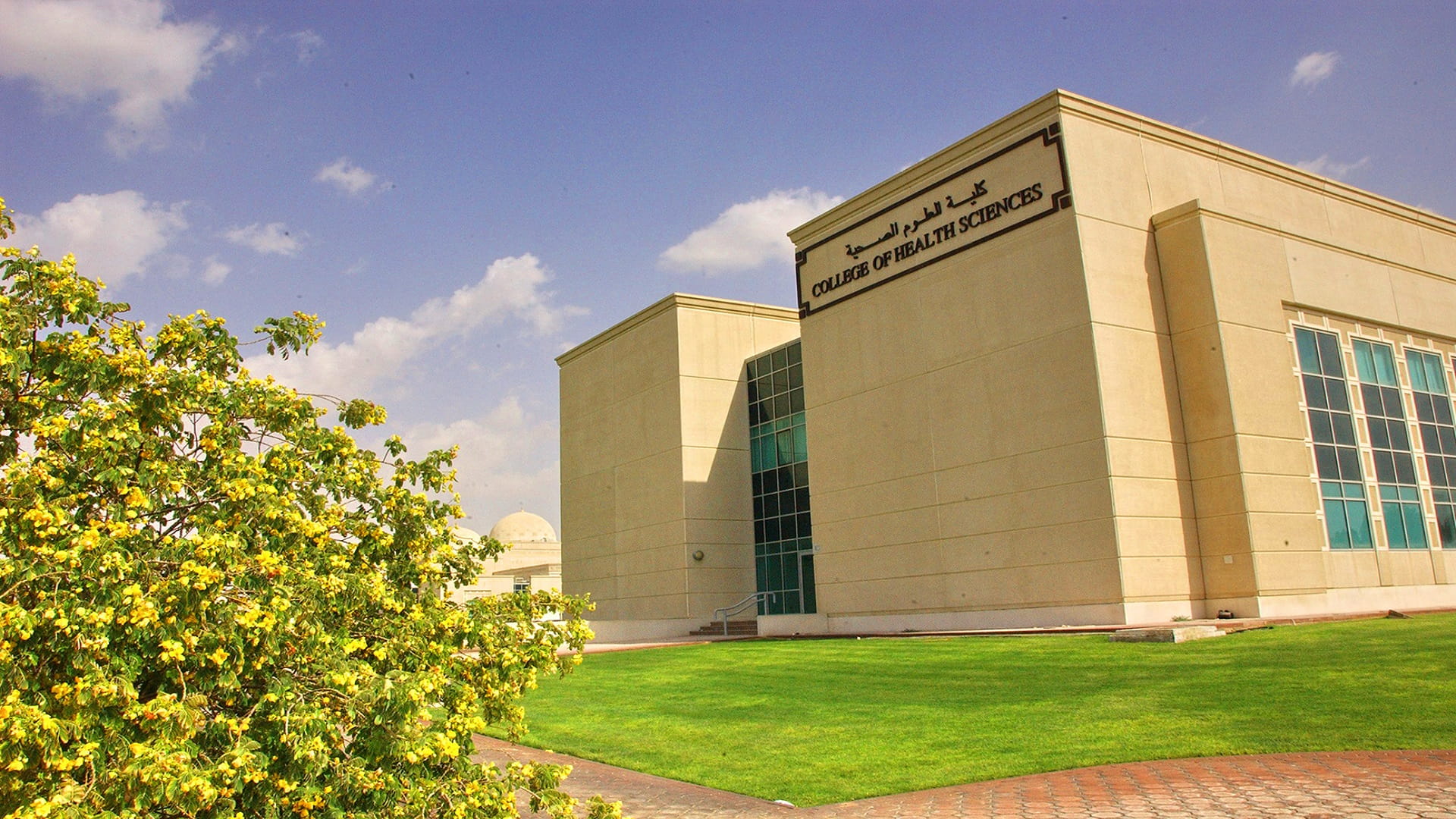 Image for the title: UoS study confirming link between child devel, prenatal stage 