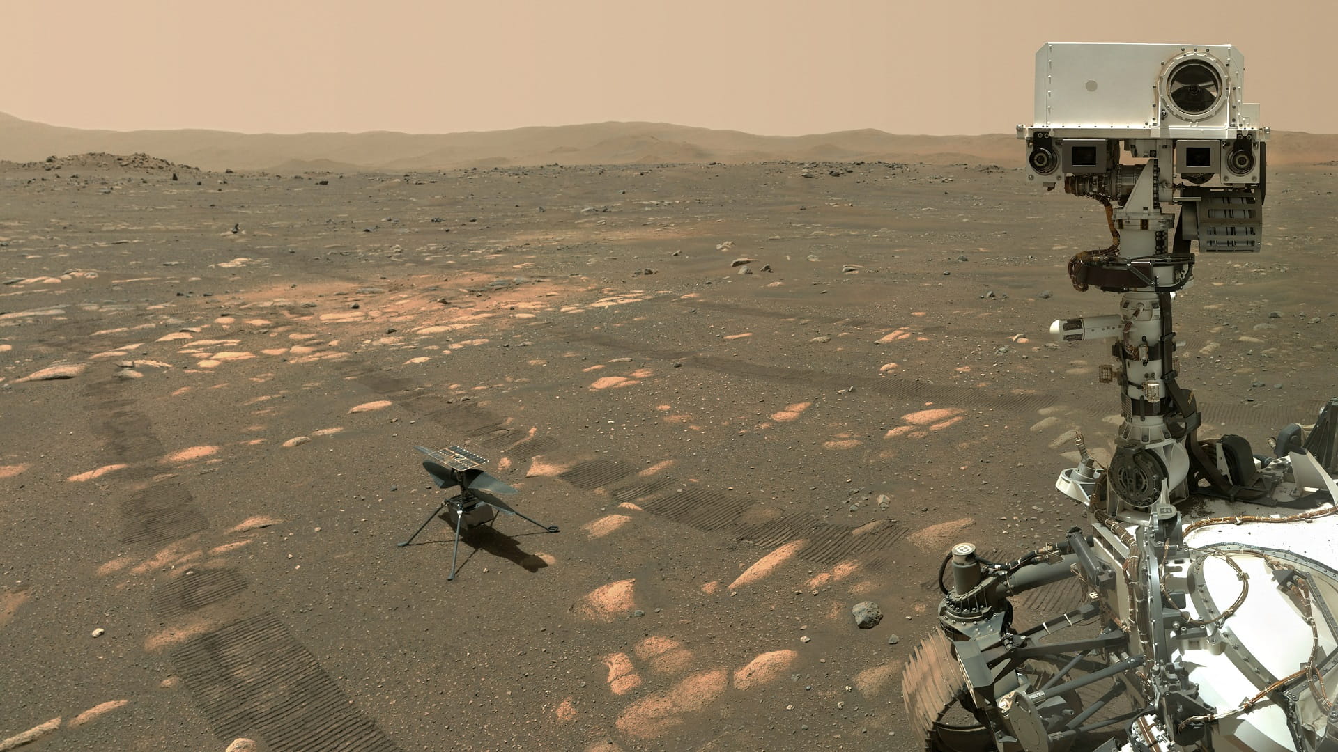 Image for the title: NASA rover takes 'selfie' with miniature helicopter on Mars 