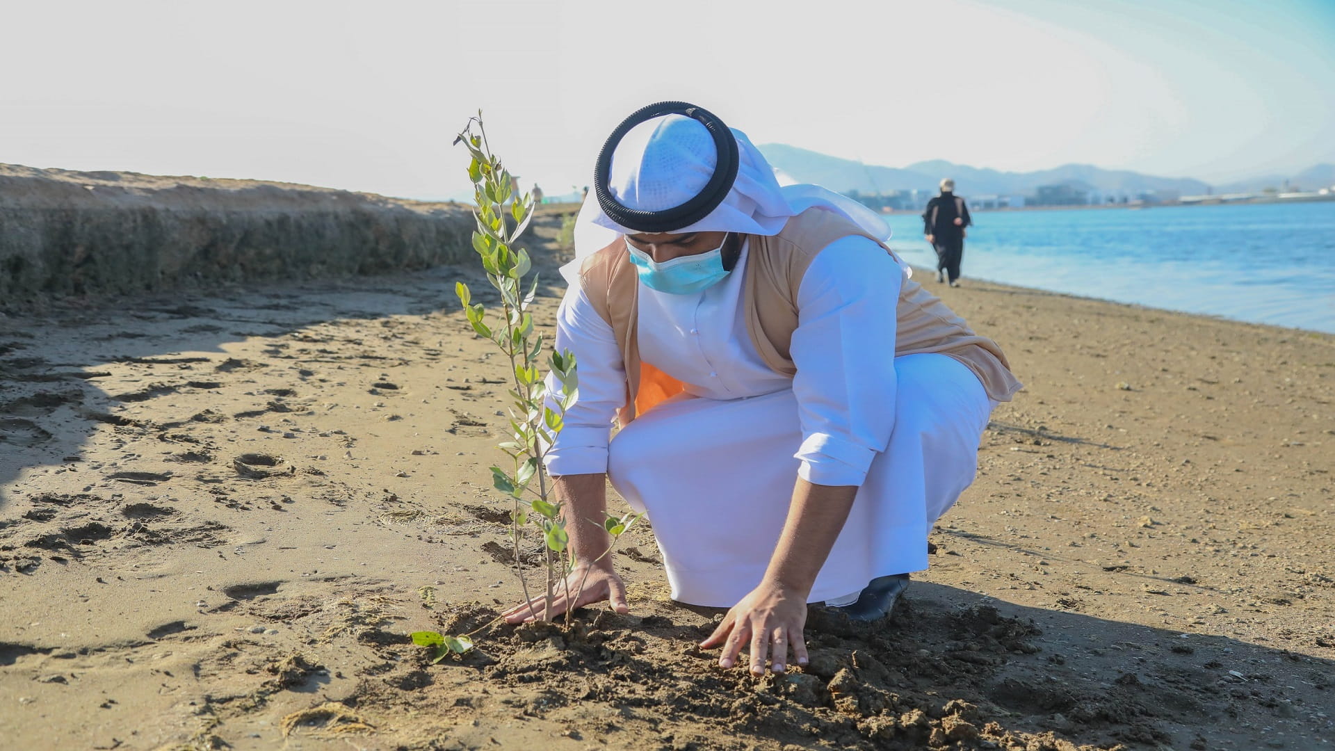 صورة بعنوان: "البيئة والمحميات" تُنفذ مبادرة جديدة لتشجير محمية القرم بكلباء 