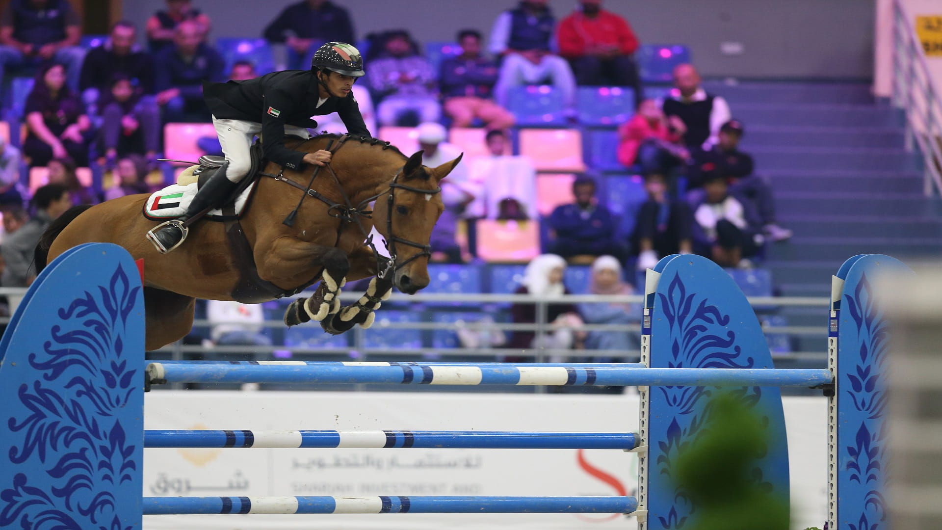 صورة بعنوان: بطولة الشارقة الدولية 21 لقفز الحواجز تنطلق الخميس 