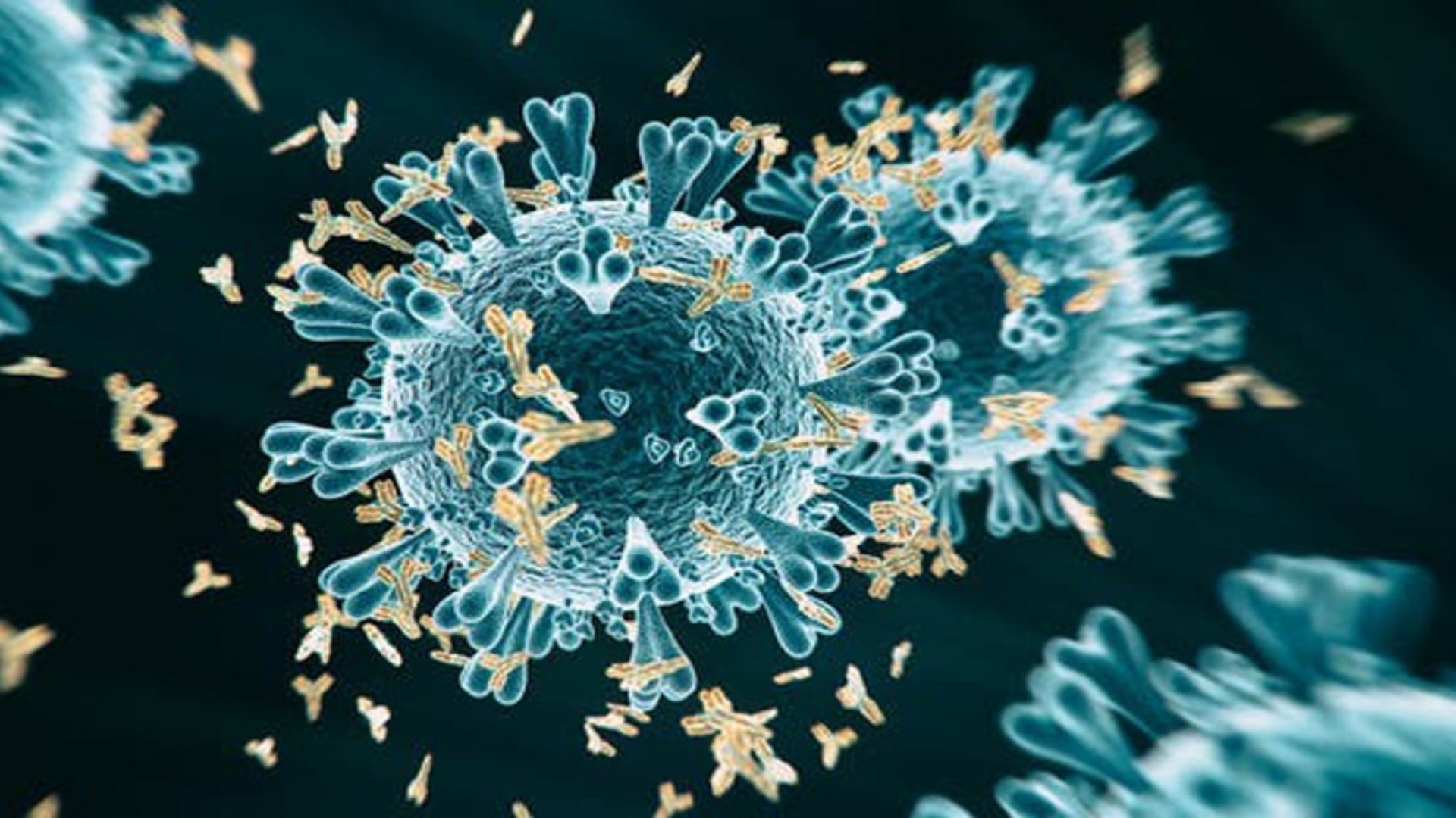 صورة بعنوان: بارتفاع مقلق..المغرب يضيف لحصيلة كورونا 34 وفاة و1246 إصابة جديدة 