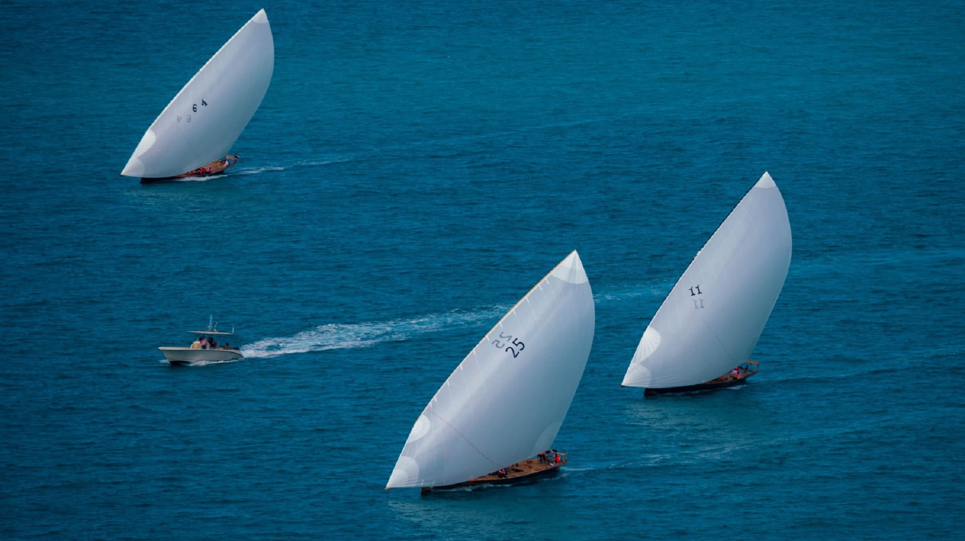 صورة بعنوان: سباق "غناضة" للمحامل الشراعية فئة 60 قدماً ينطلق غداً 