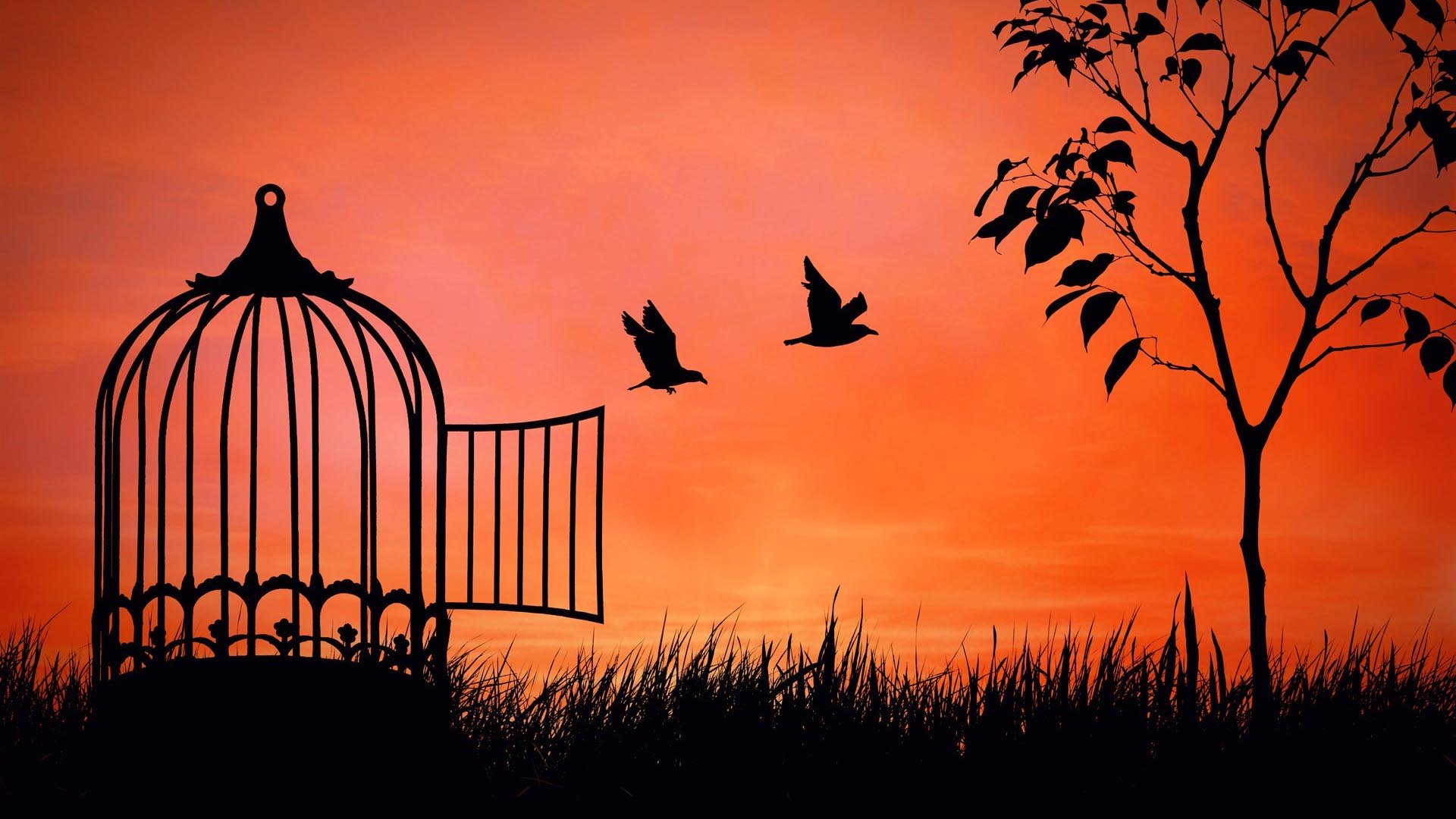 صورة بعنوان: سجن الأفكار 