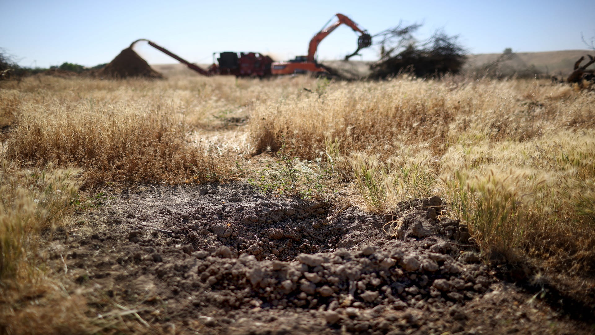 Image for the title: Climate change and biodiversity loss must be tackled together 