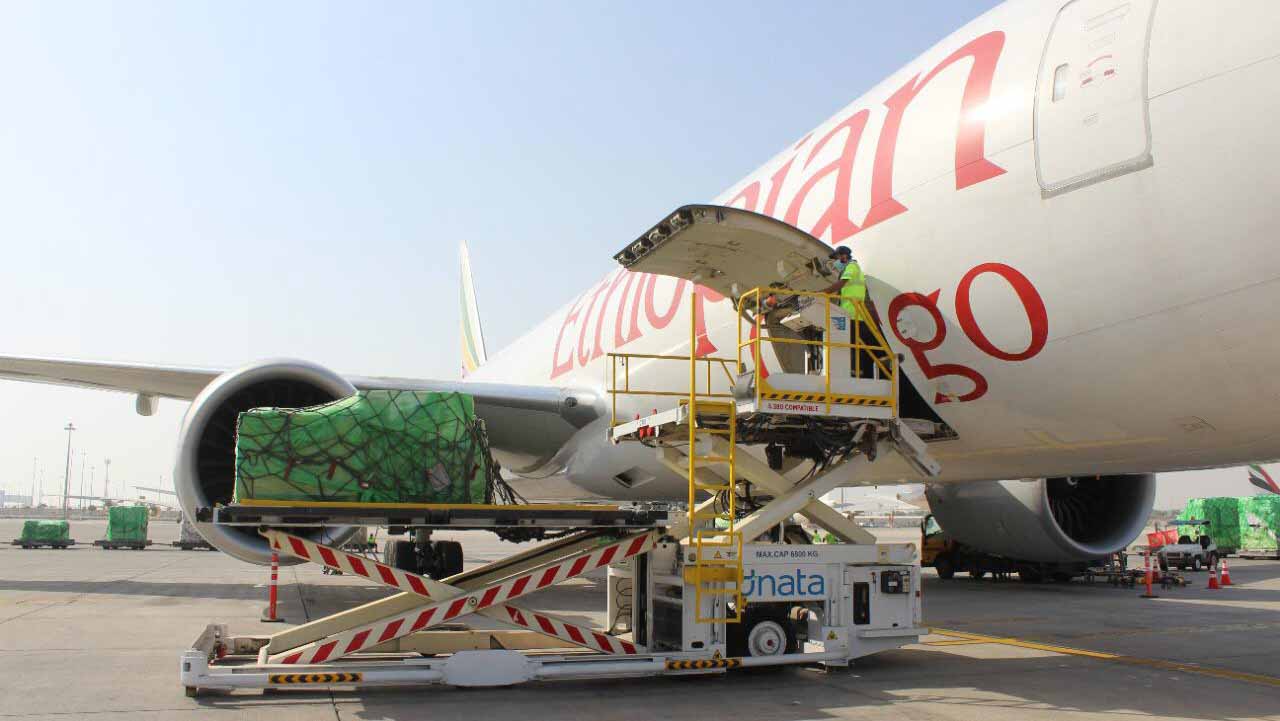 صورة بعنوان: محمد بن راشد يأمر بتقديم مساعدات عاجلة إلى الكونغو الديموقراطية 