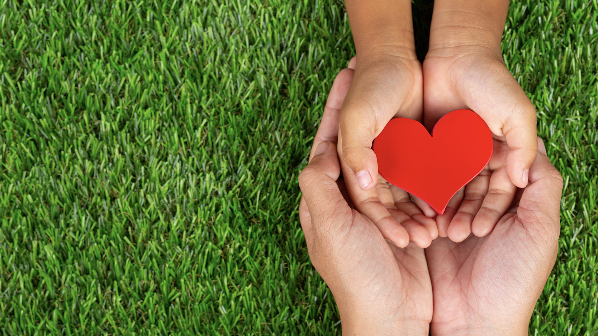 صورة بعنوان: الاحتواء ضمان 