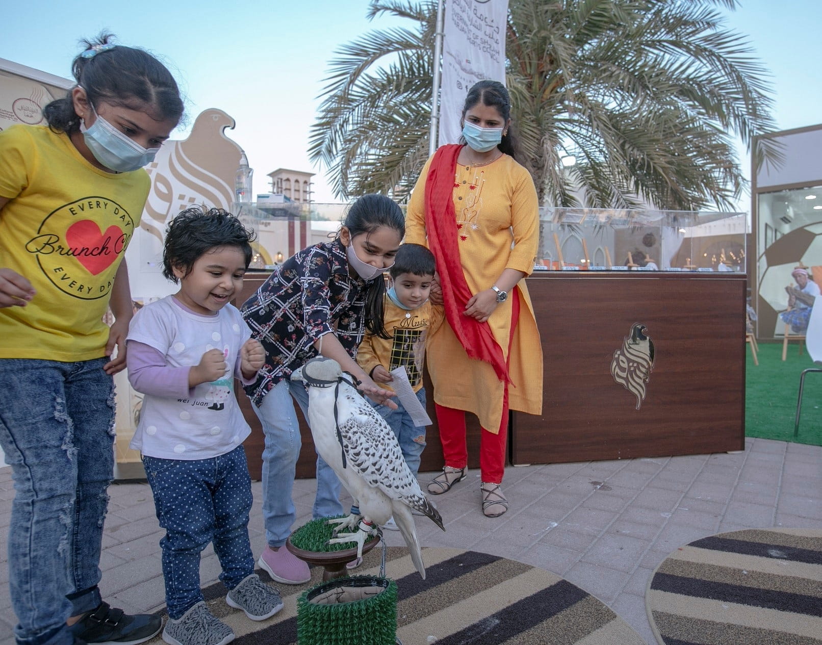 صورة بعنوان: "الصقر" رفيق الصيد.. يعيد ألق الماضي لزوار "الأيام التراثية" 