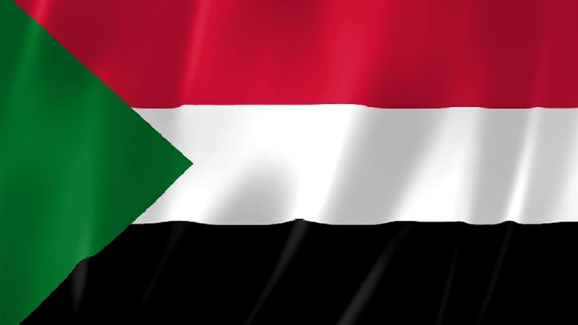 صورة بعنوان: حكومة السودان توقع إعلان مبادئ مع حركة متمردة في جنوب البلاد 