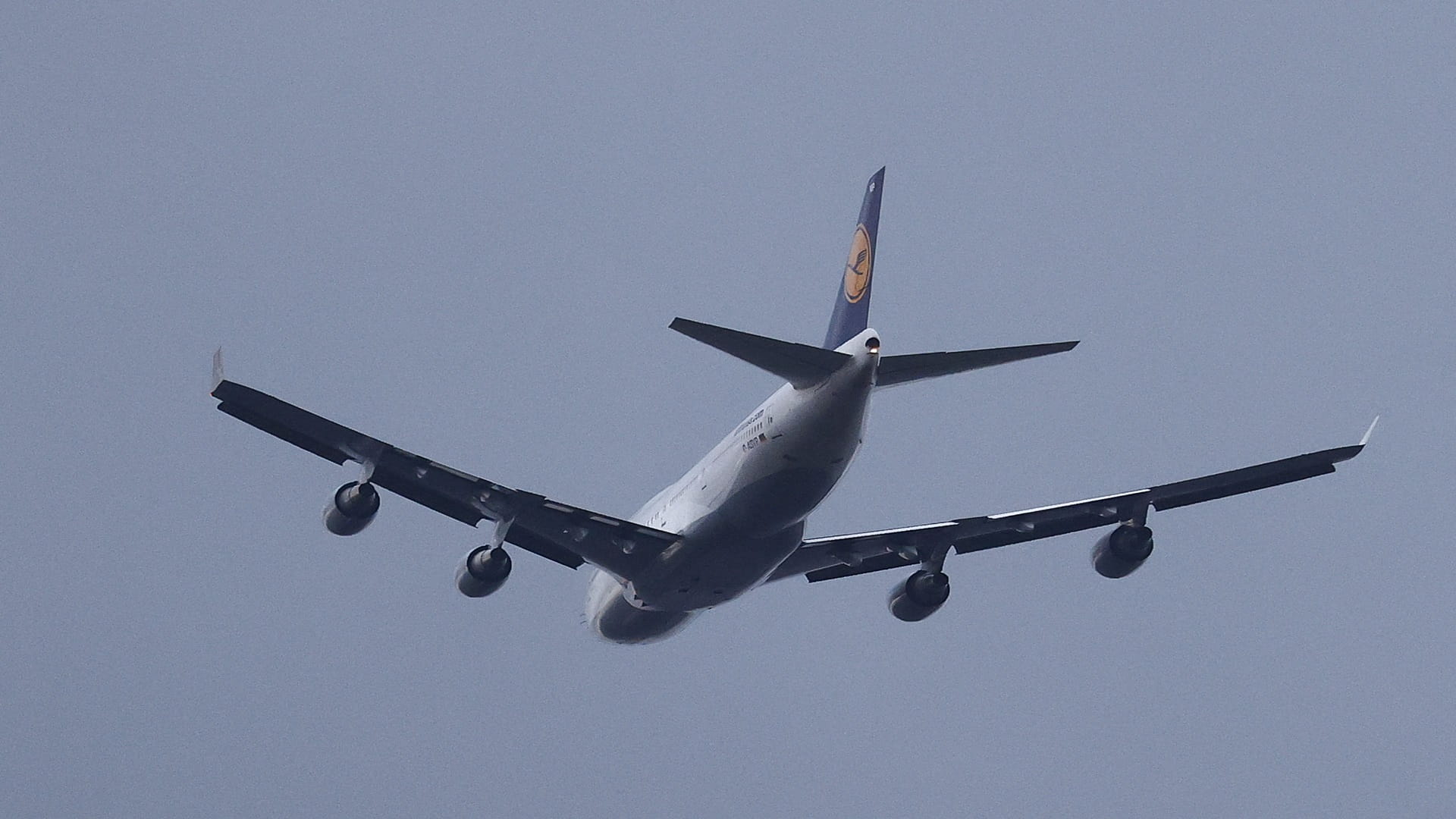 Image for the title: Lufthansa to emerge smaller but stronger from Covid turbulence 