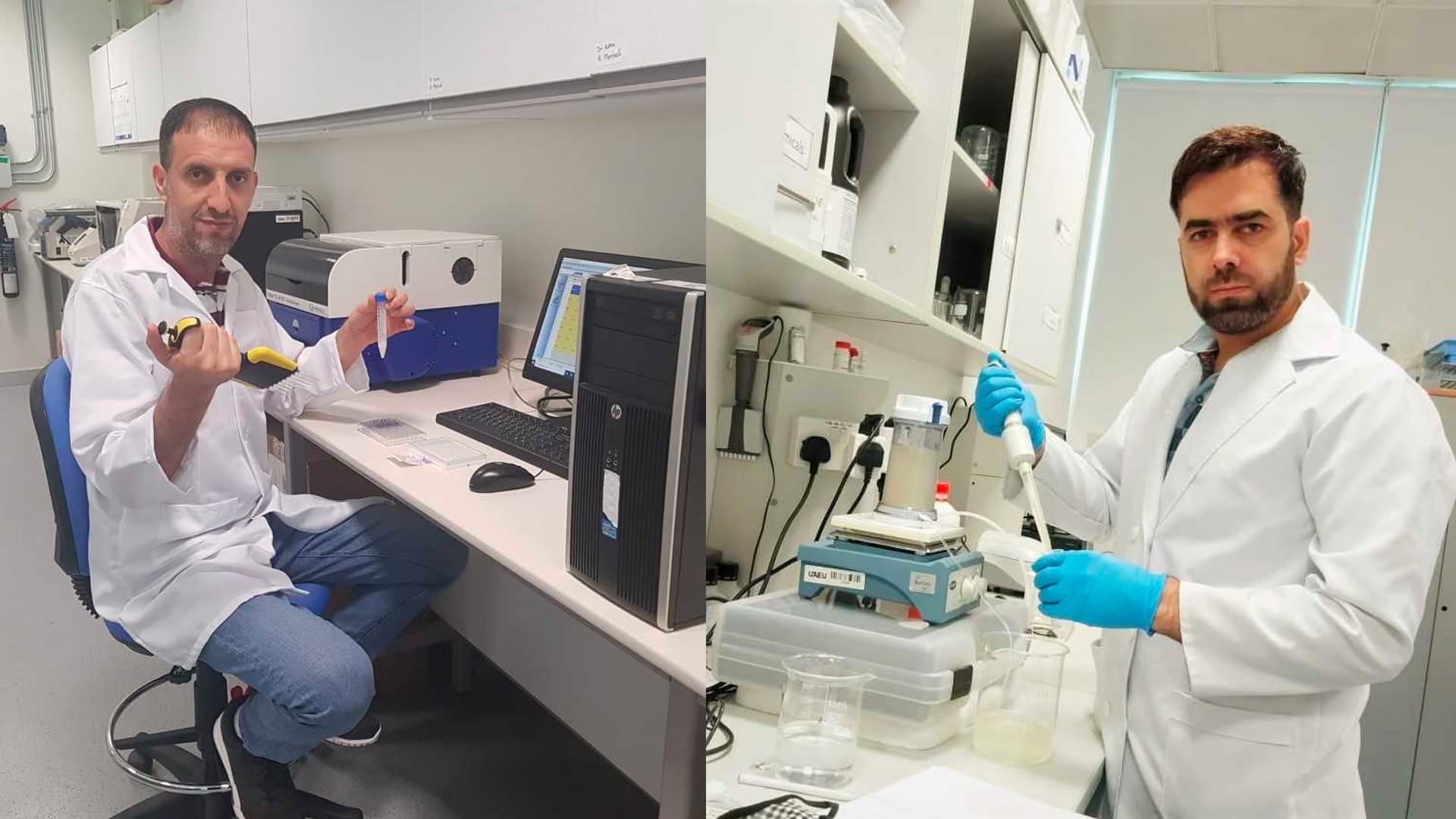 صورة بعنوان: باحثون من جامعة الإمارات: حليب الإبل فعال لمكافحة مرض السكري 