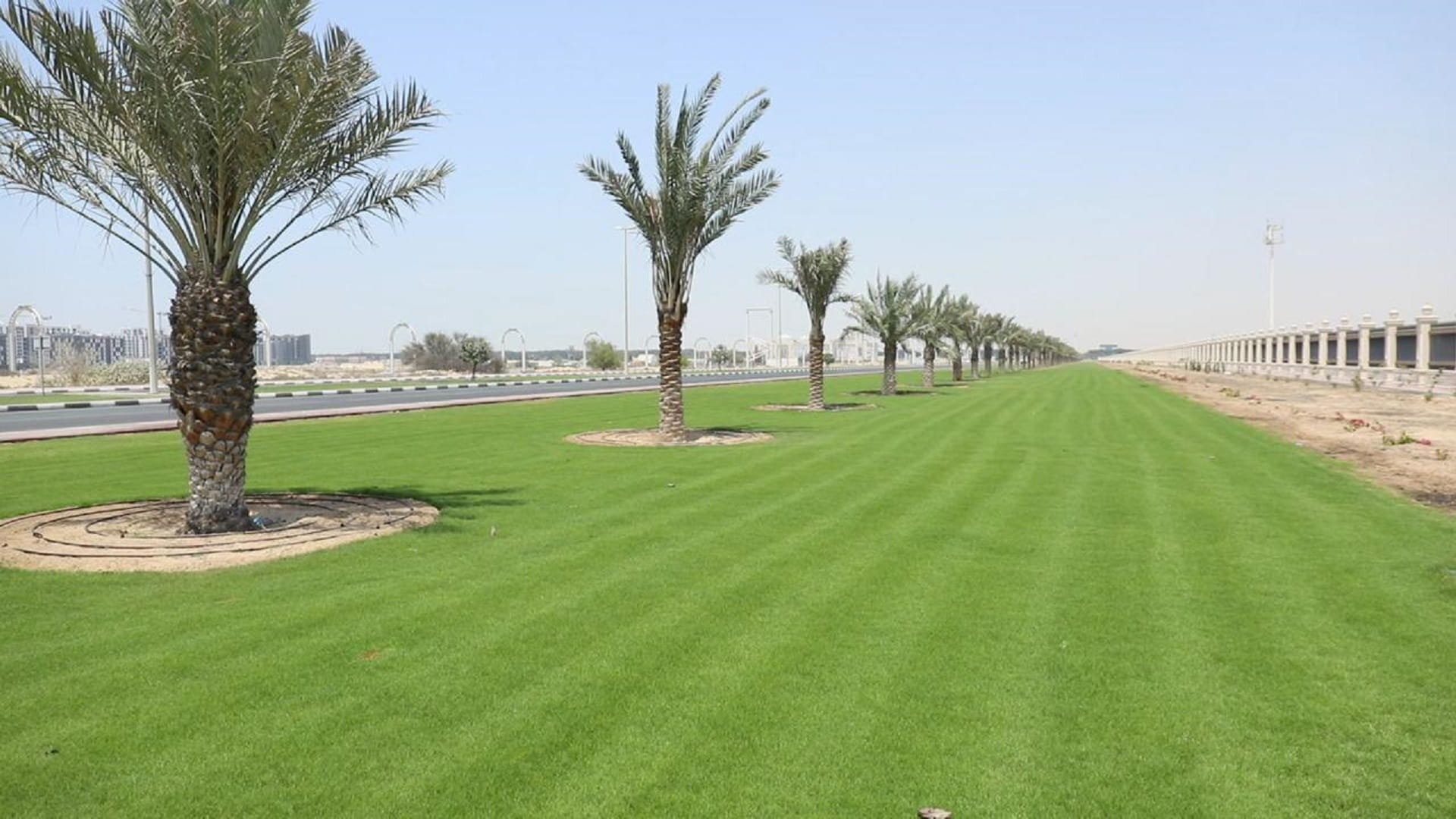 Image for the title: SM completes plant 58000 square meters of green areas 