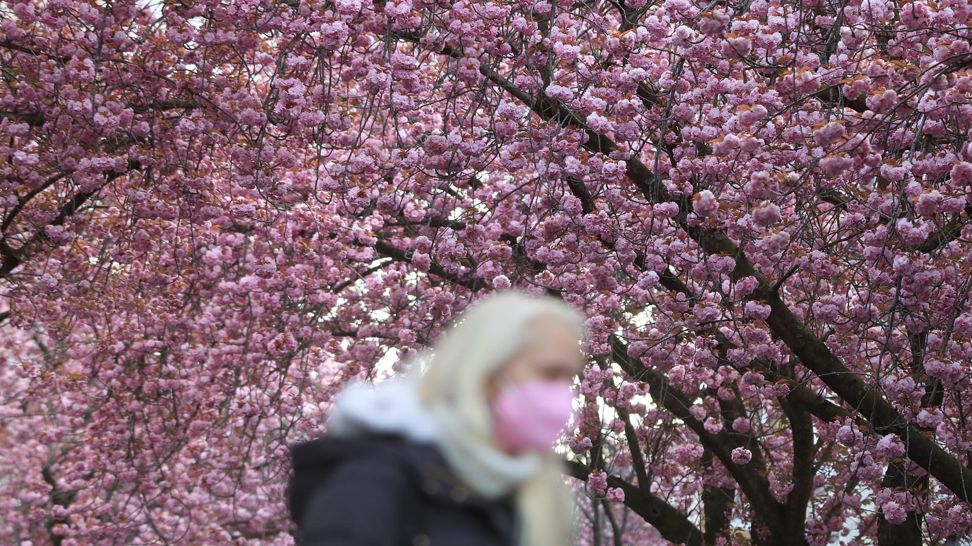 صورة بعنوان: ألمانيا تضيف للقائمة 12298 إصابة جديدة بفيروس كورونا و237 وفاة 