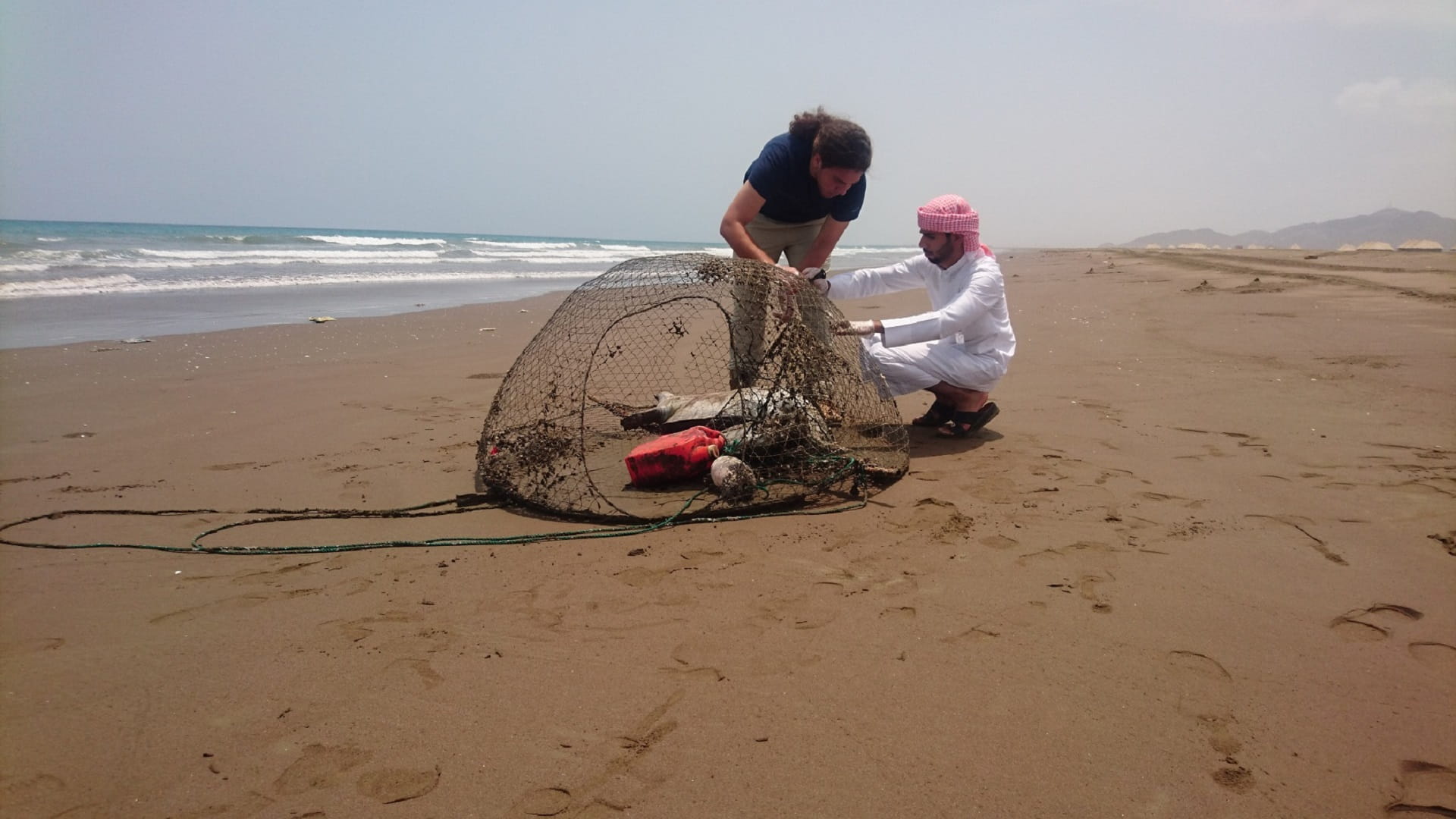 صورة بعنوان: "بيئة الشارقة" تُطلق برنامج الاستجابة لجنوح الحياة البحرية  