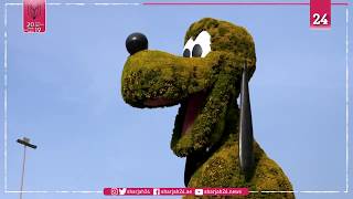 a-world-of-flowers-awaits-you-at-the-dubai-miracle-garden-1 