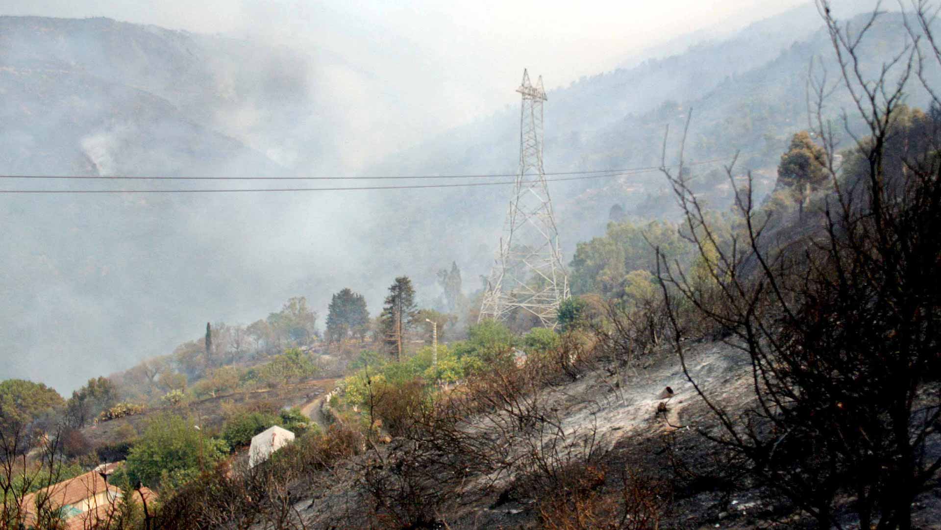 Image for the title: Four killed, three injured in Algerian forest fires 