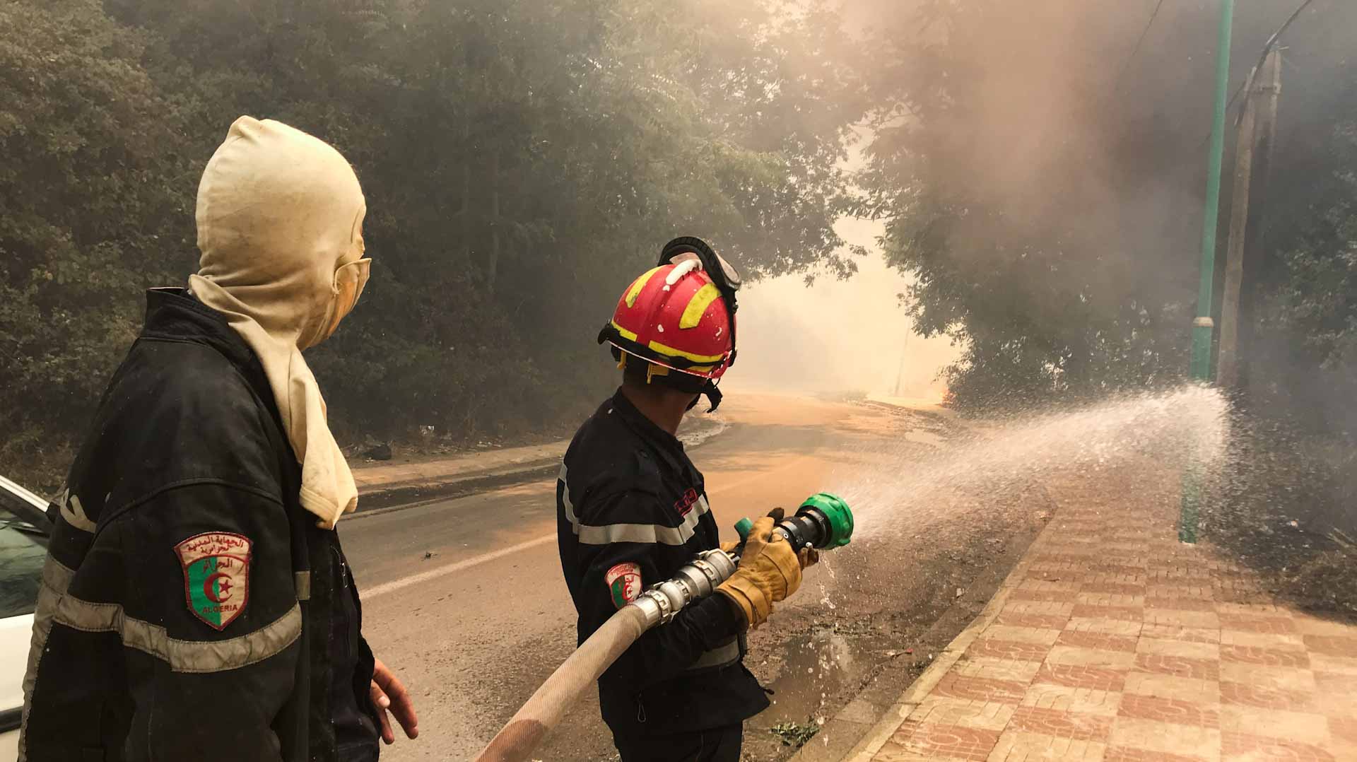 Image for the title: Wildfire rips Algeria, killing 42 people including soldiers 