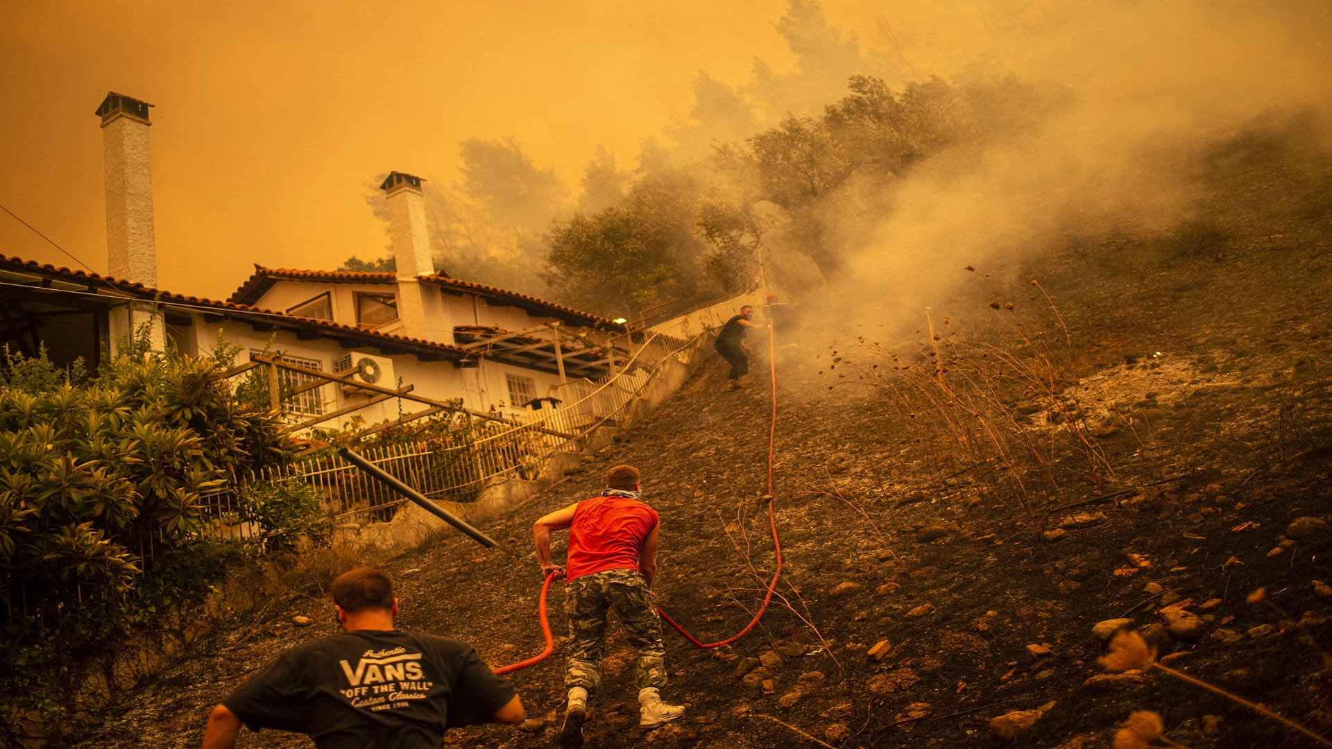 Image for the title: Greece facing 'ecological disaster' from raging wildfires 