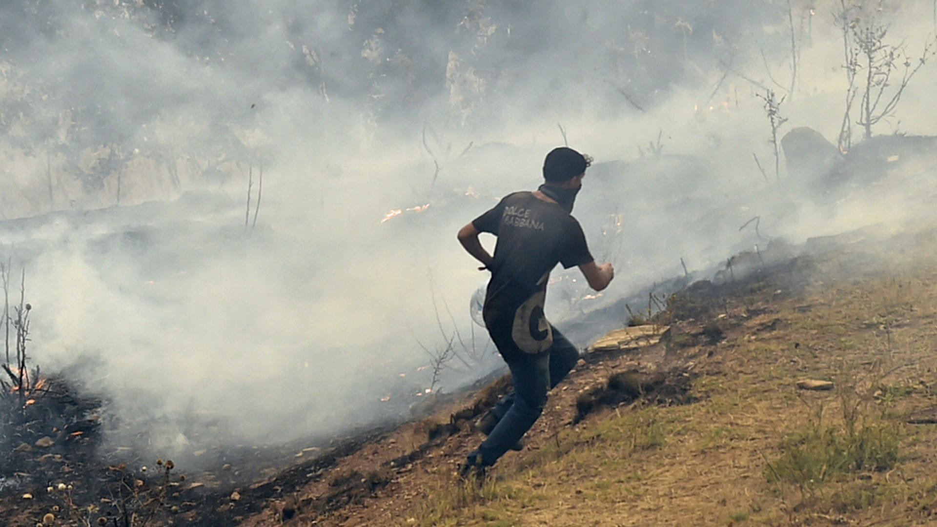 صورة بعنوان: الجزائر تواصل جهودها لإخماد 92 حريقاً 