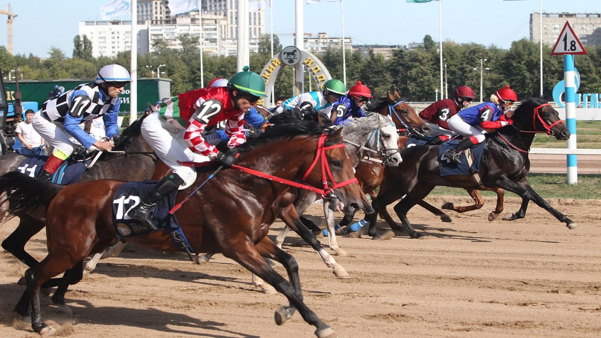 Image for the title: Moscow to host UAE Pres.’s Cup World Series for Arabian Horses 