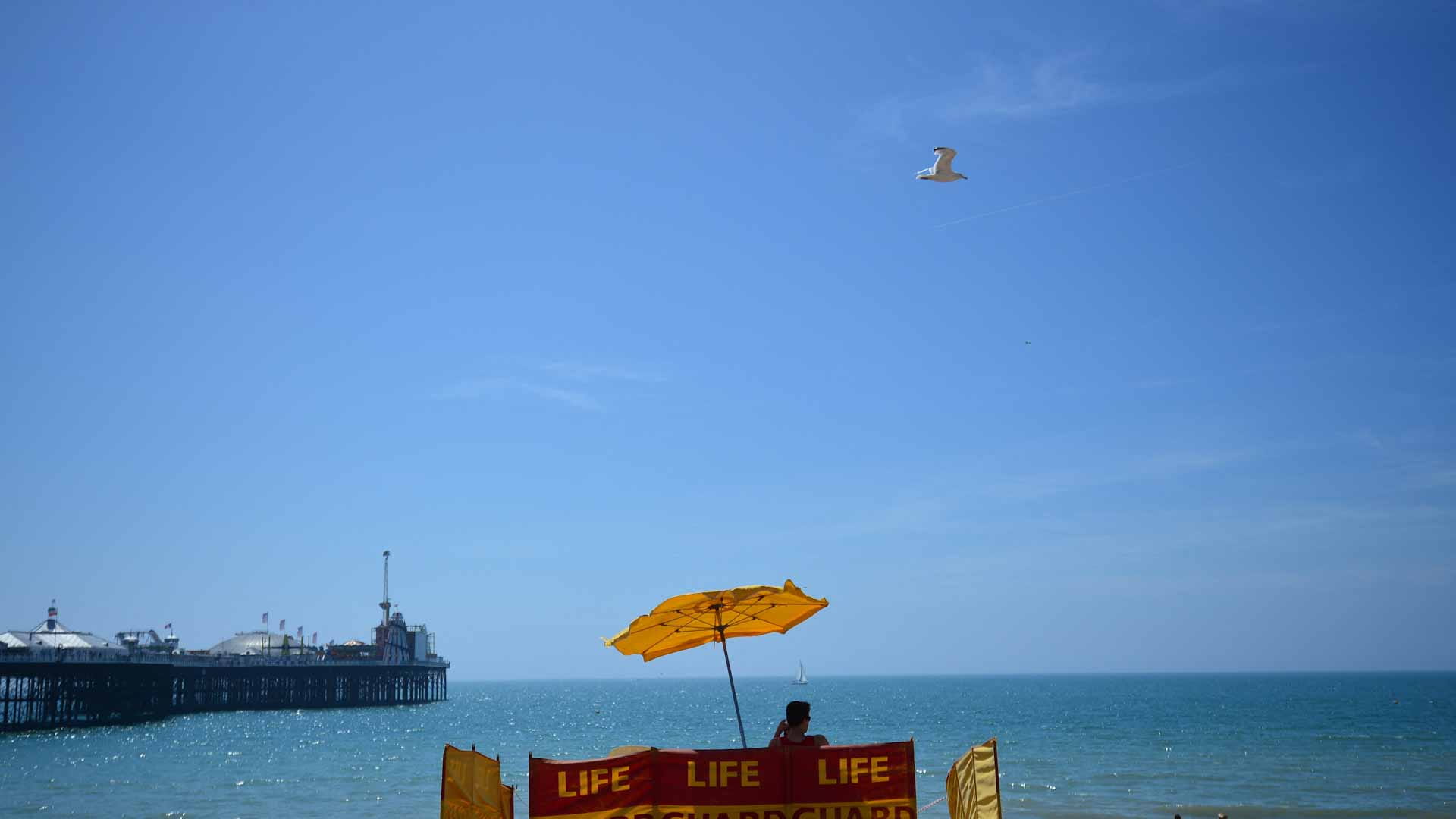 Image for the title: July was world's hottest month on record: US agency 
