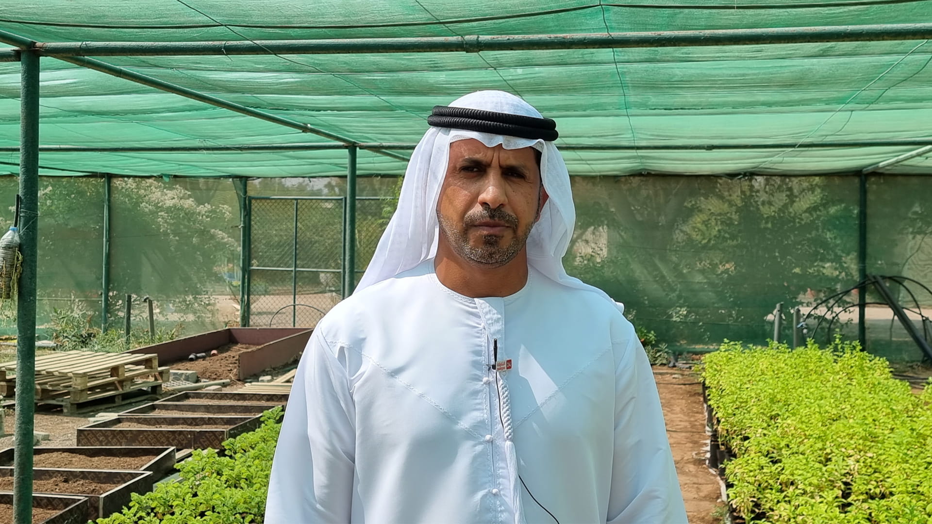 Image for the title: Al Dhaid Municipality provides agricultural services to CR 