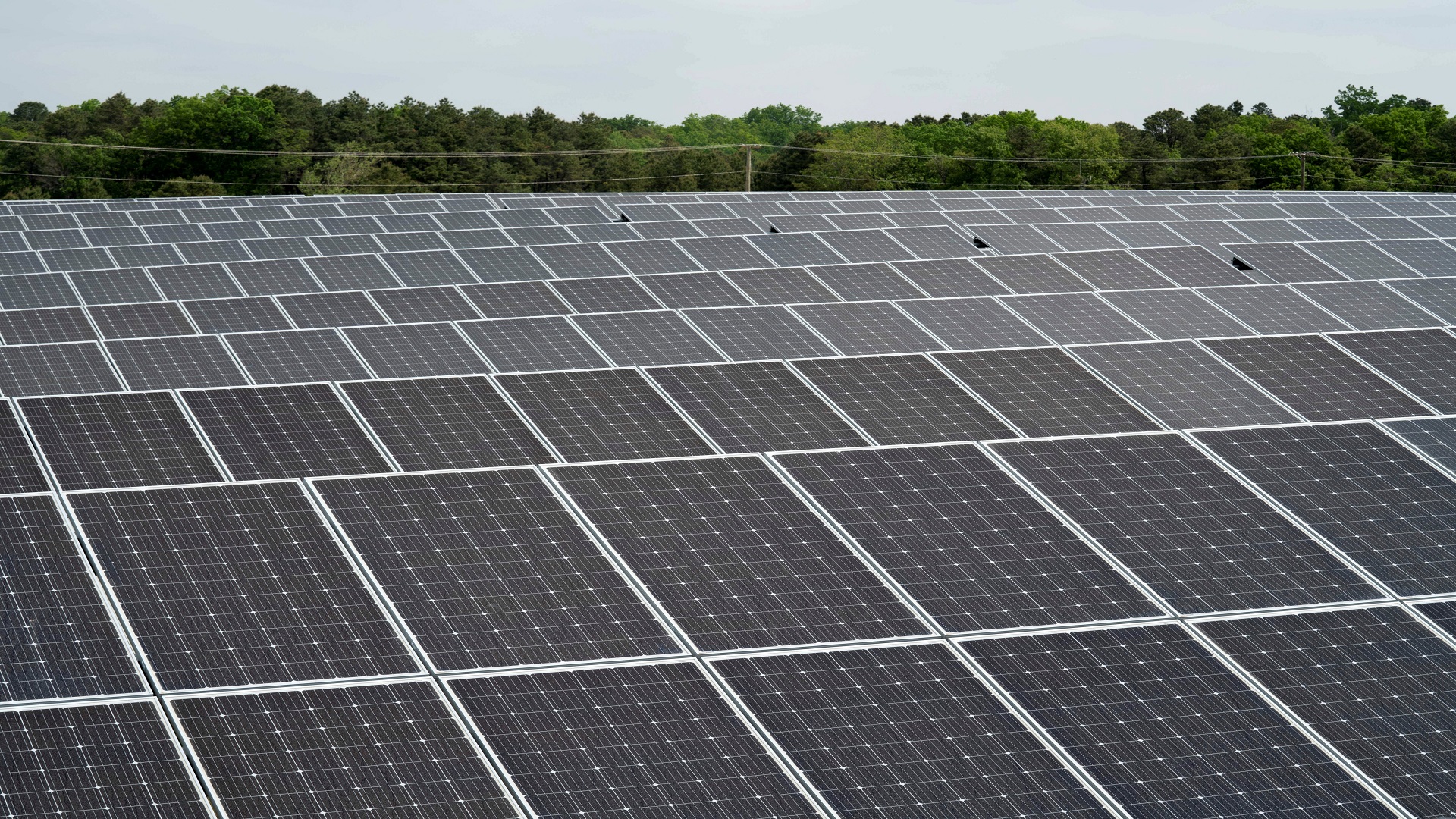 Image for the title: Solar could be 40% of U.S. power by 2035 -Biden administration 