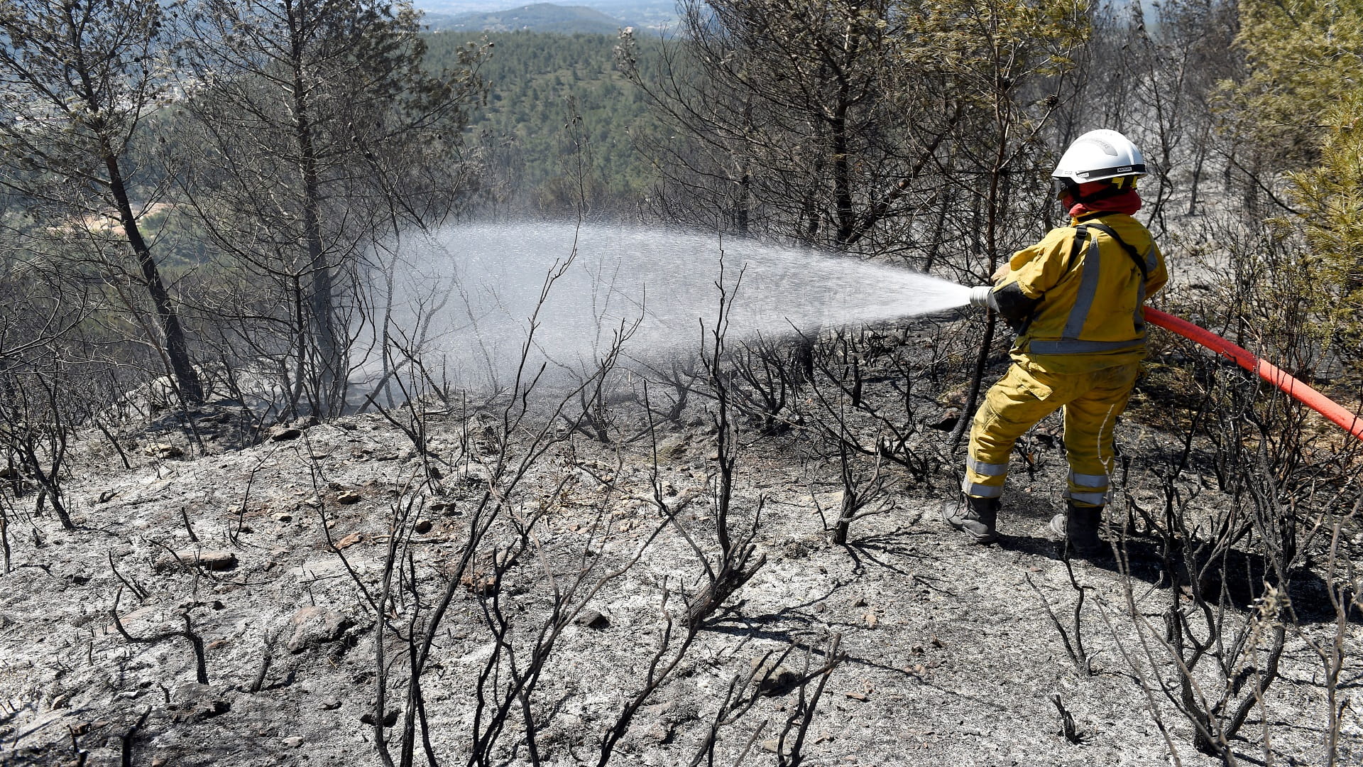 صورة بعنوان: وسط حر شديد وجفاف...رجال الإطفاء يكافحون حريق غابات في جنوب فرنسا 