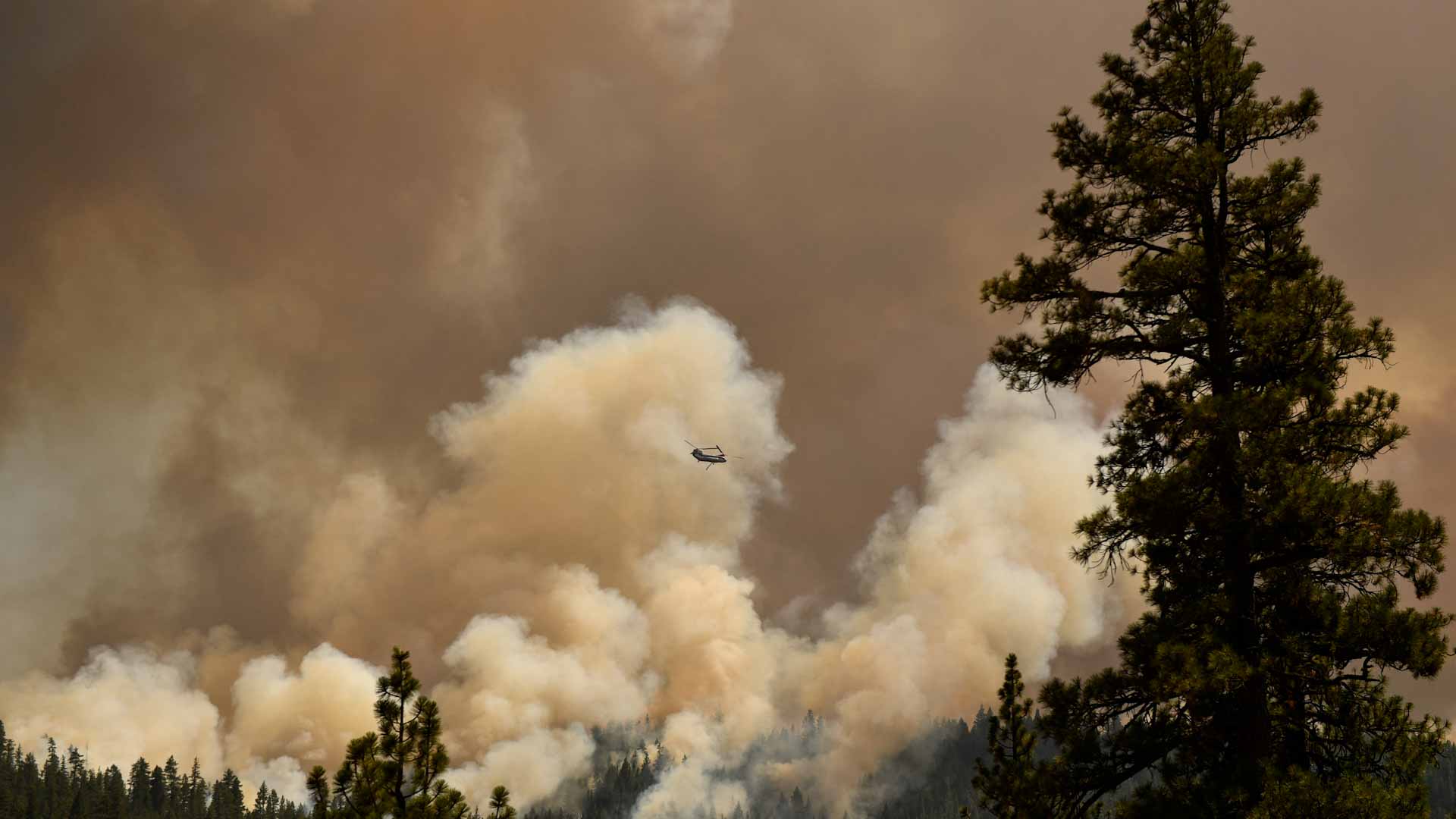 Image for the title: New wildfire explodes near California state capital 