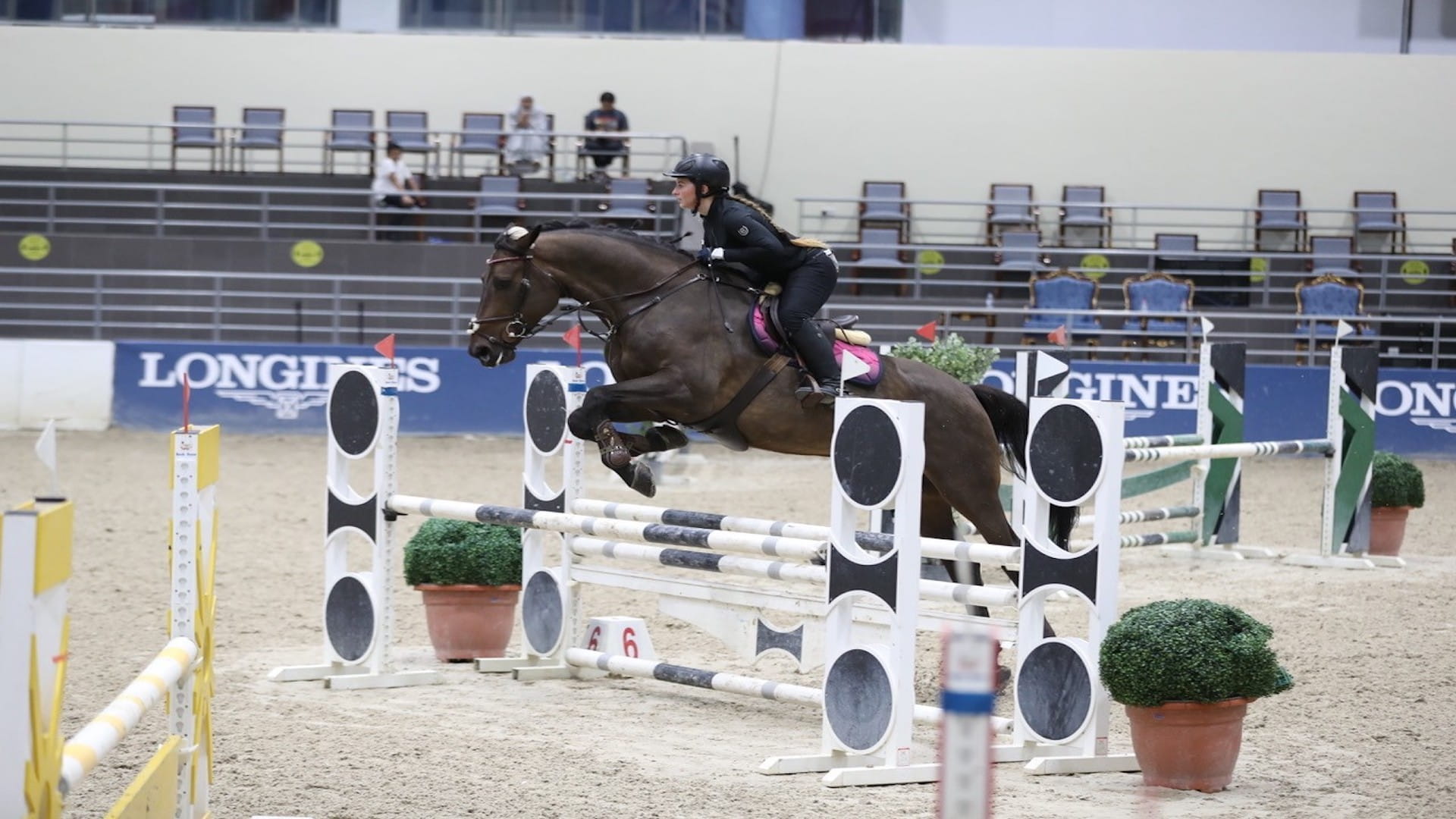 صورة بعنوان: نادي الشارقة للفروسية ينظم البطولة الصيفية الرابعة لقفز الحواجز 
