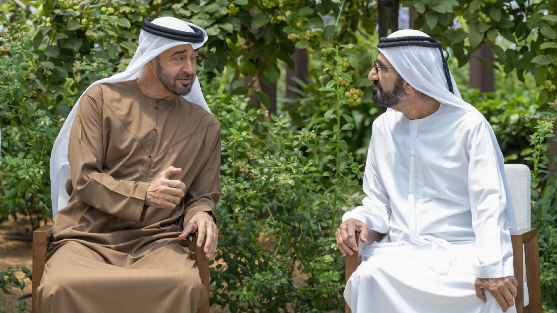 Image for the title: VP, Abu Dhabi CP review new edition of nat’l strategic projects 