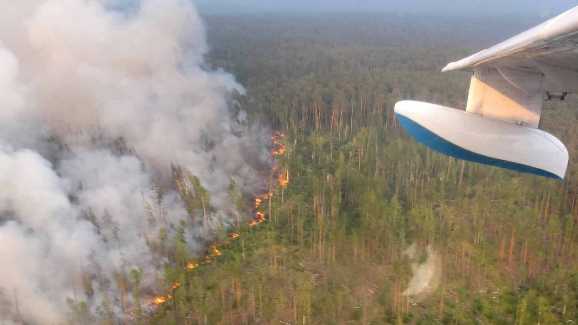 Image for the title: Wildfires in Russia spread to central regions 