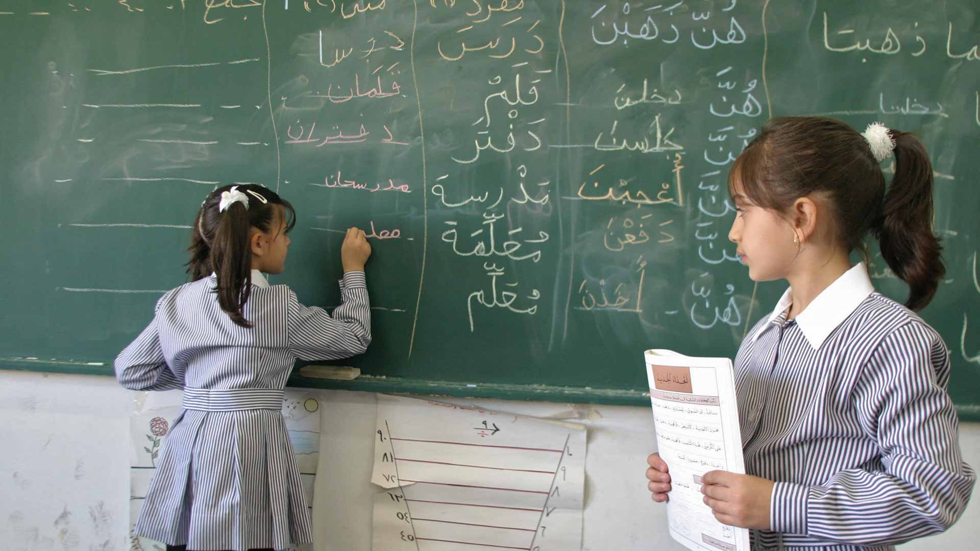 Image for the title: Teaching native speakers of other than language of instruction 