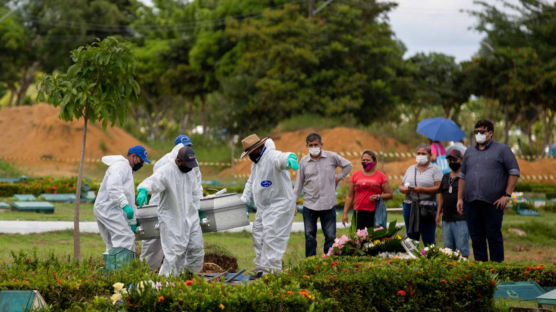 Image for the title: Omicron in Europe before SAfrica reported first cases 