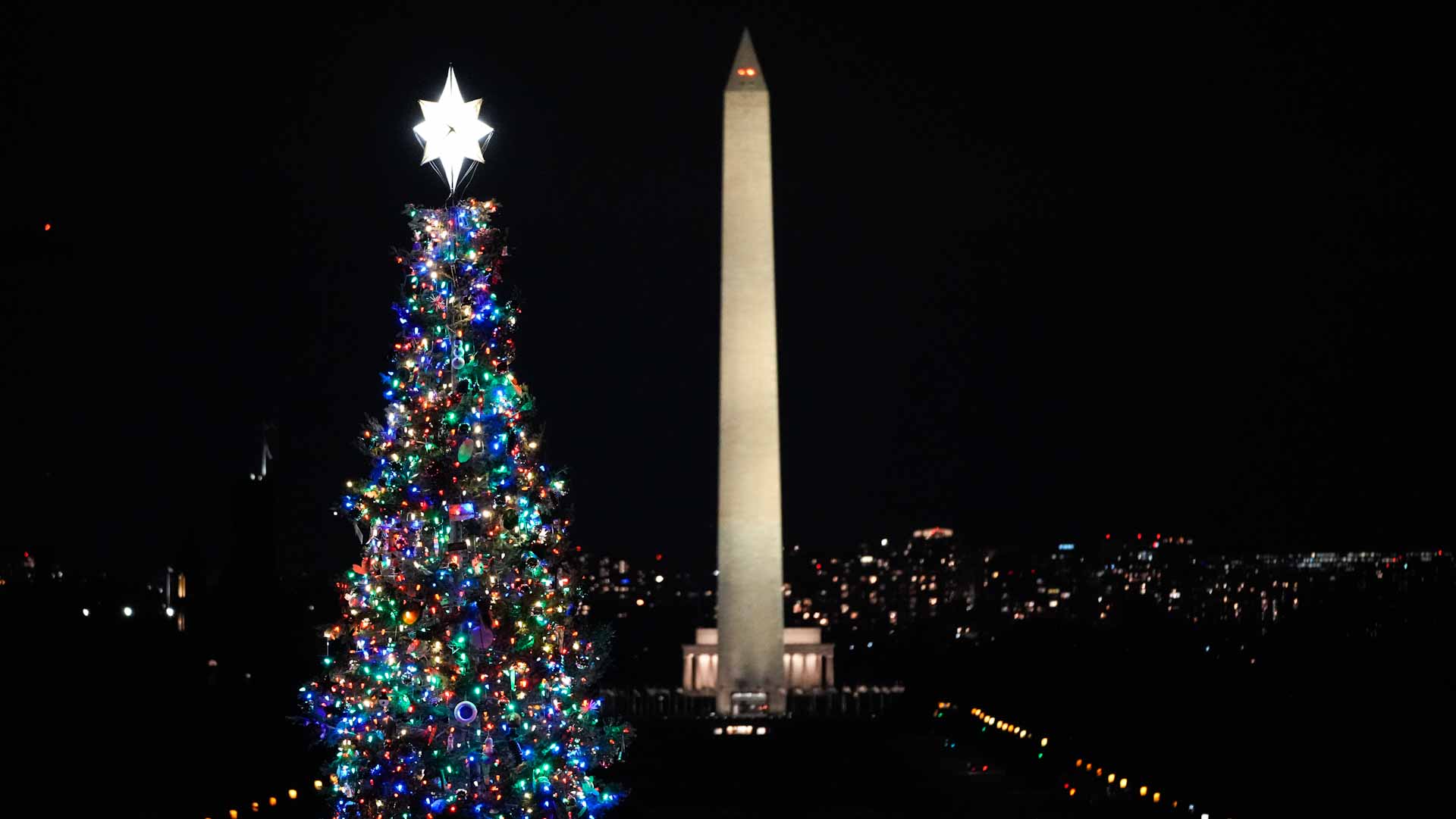Image for the title: US Capitol Christmas tree lights up in Washington 