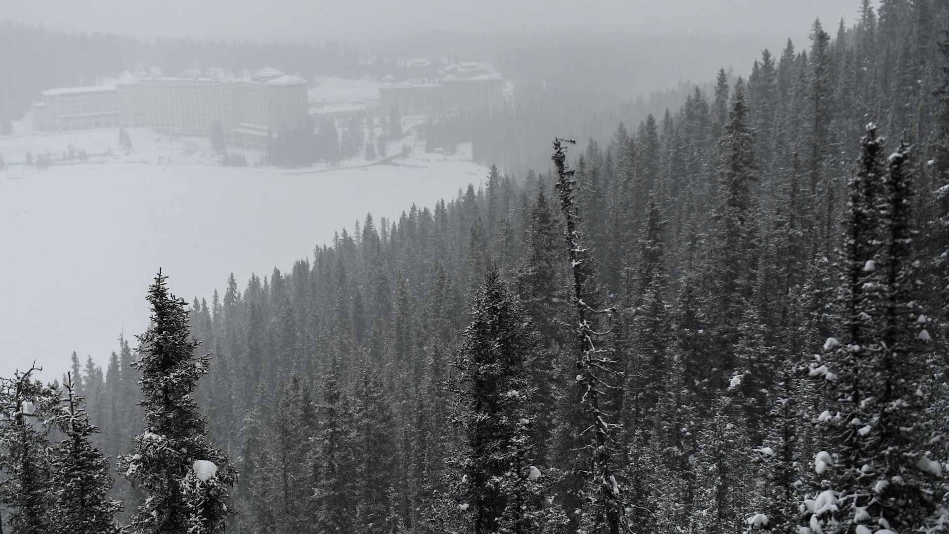 Image for the title: Western Canada sees record-high winter temperature 