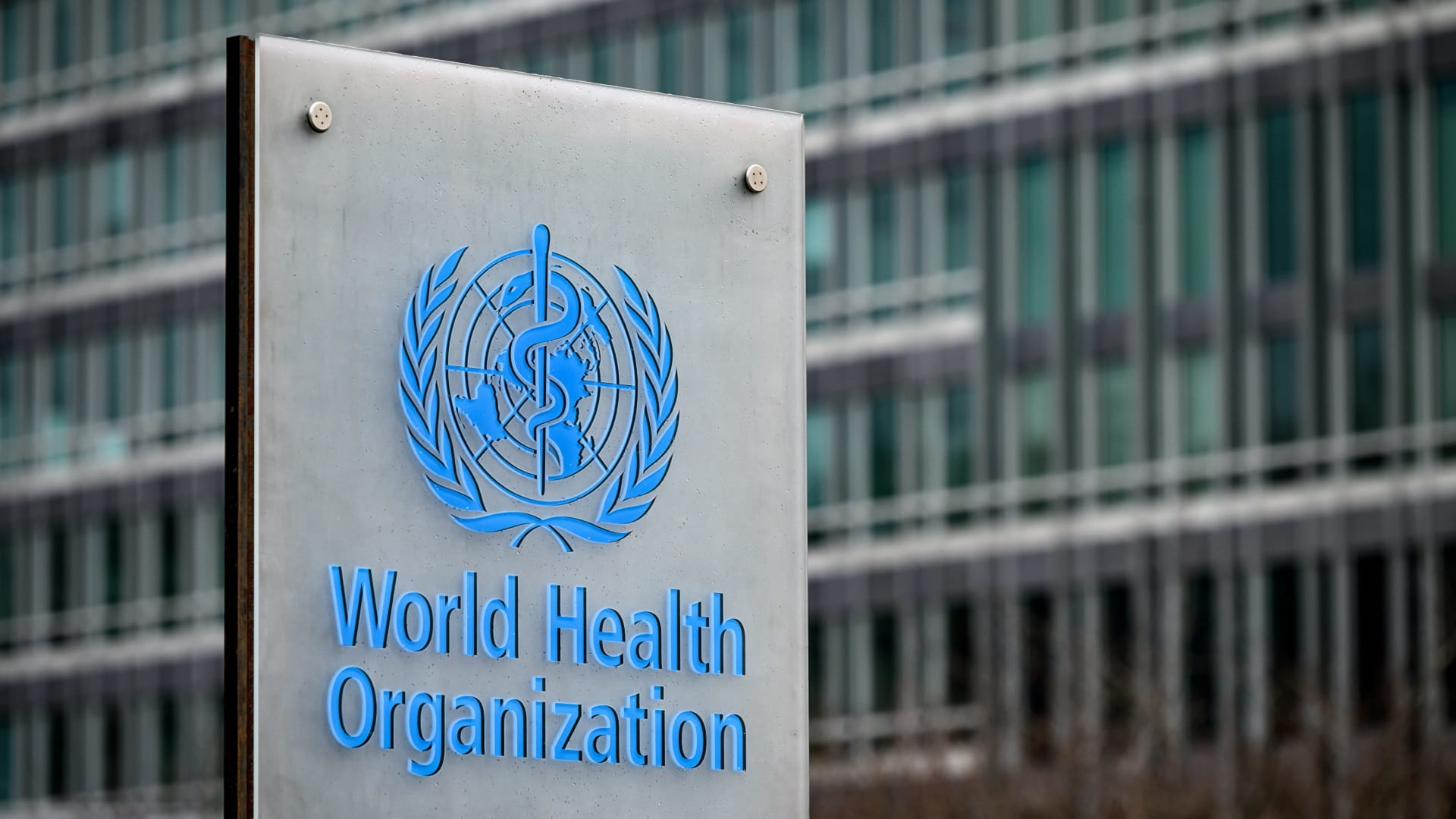 Image for the title: WHO has no reports yet of Omicron Covid deaths 