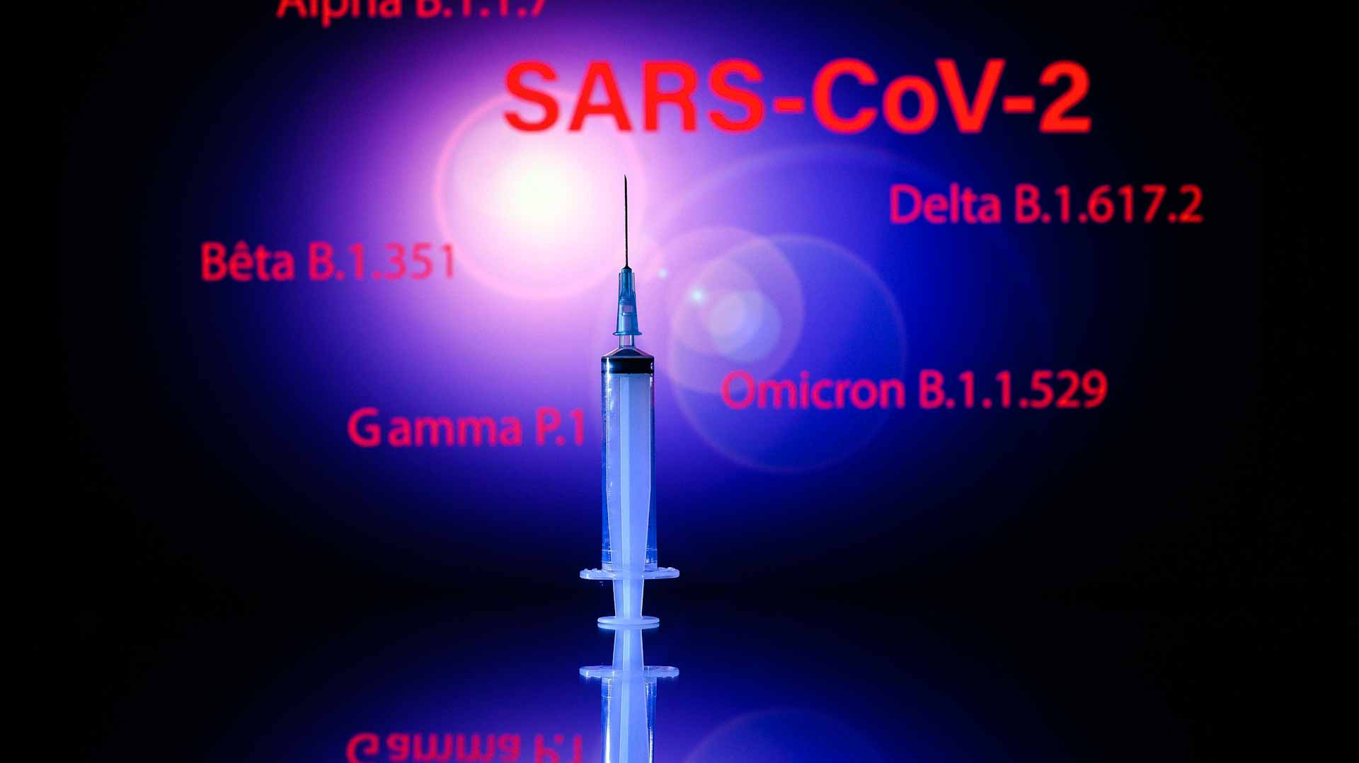Image for the title: Delta still dominates say experts urging third jab 