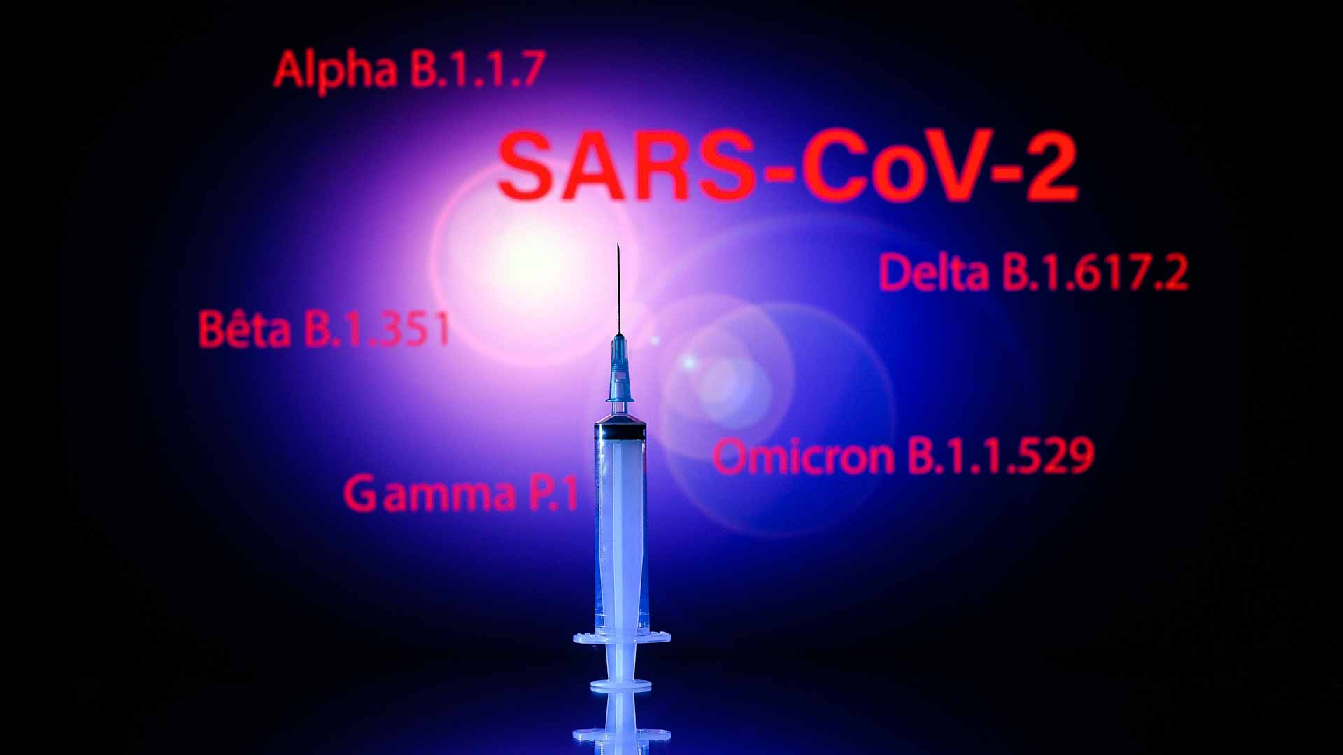 Image for the title: Omicron spreads faster and weakens jabs: WHO 
