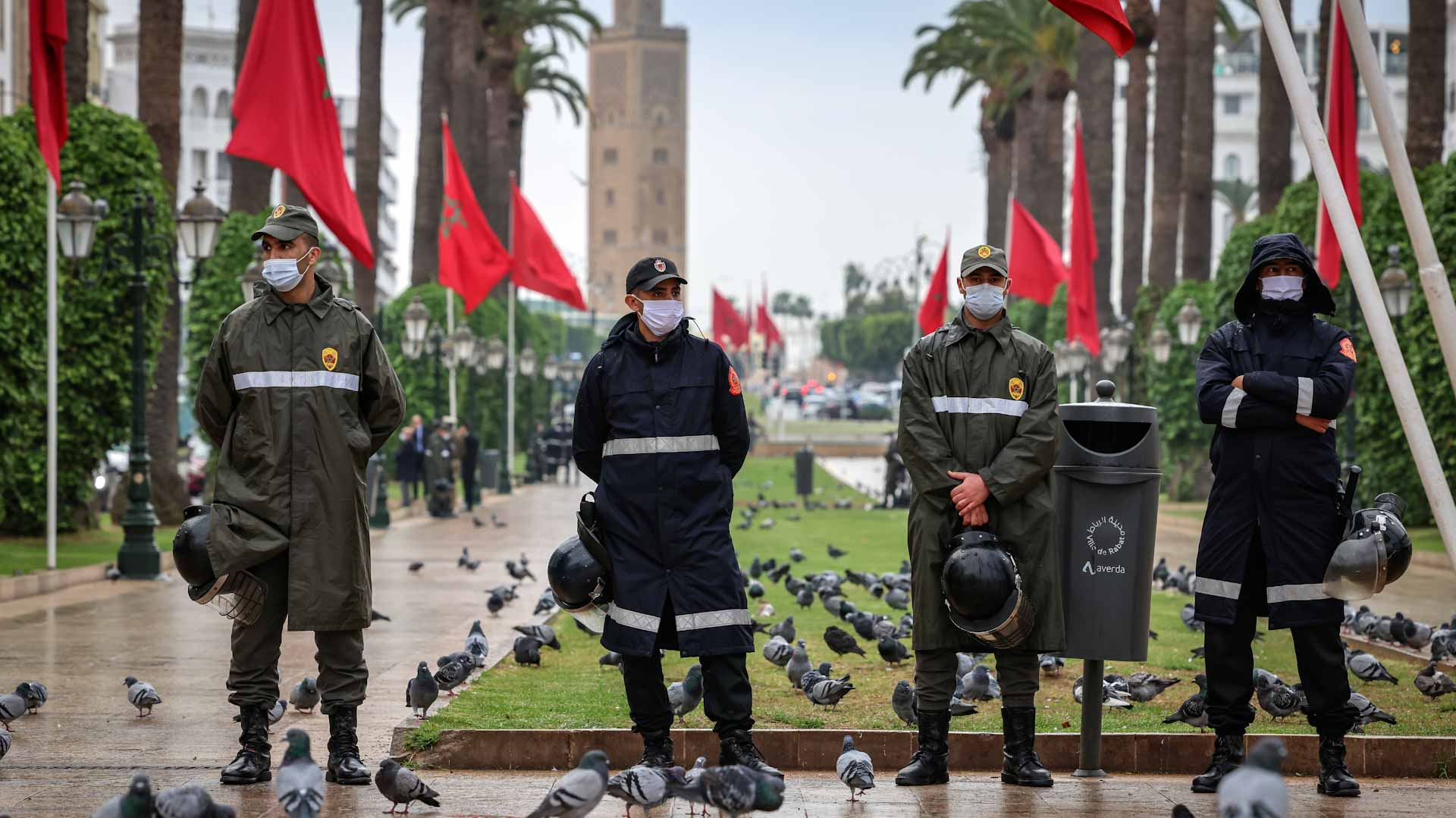 صورة بعنوان: السلطات المغربية تعتقل شخصاً موالياً لتنظيم داعش الإرهابي 