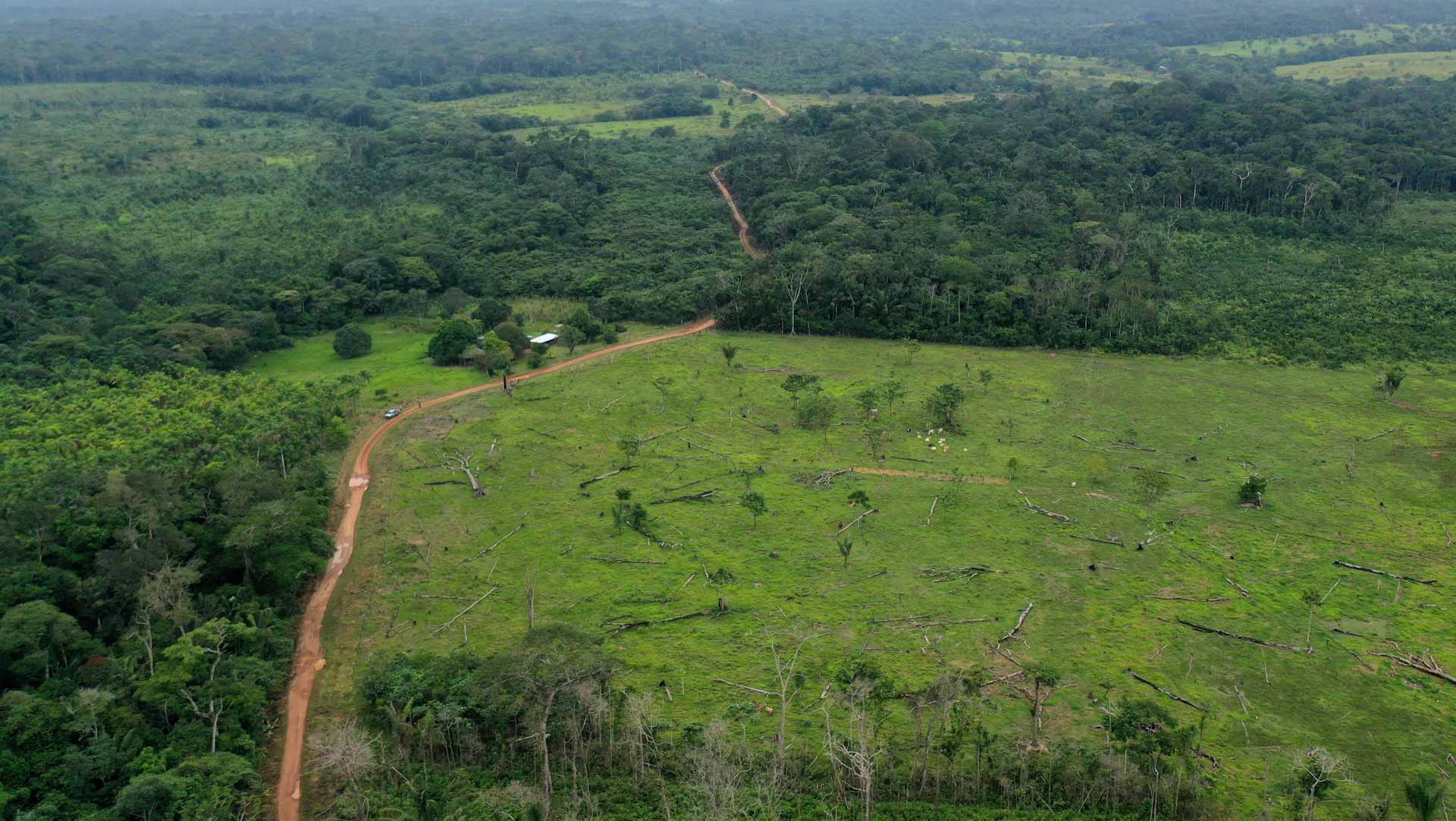 Image for the title: Deforestation, climate change making outdoor work unsafe: study 
