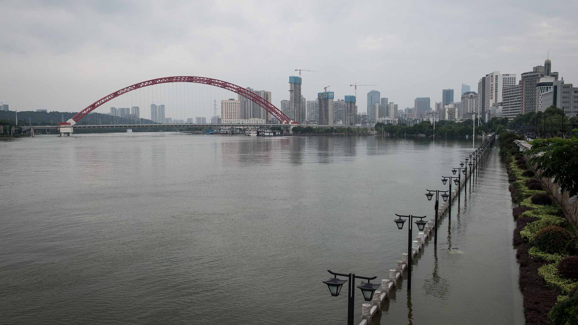 Image for the title: China cuts interest rate for first time in 20 months 