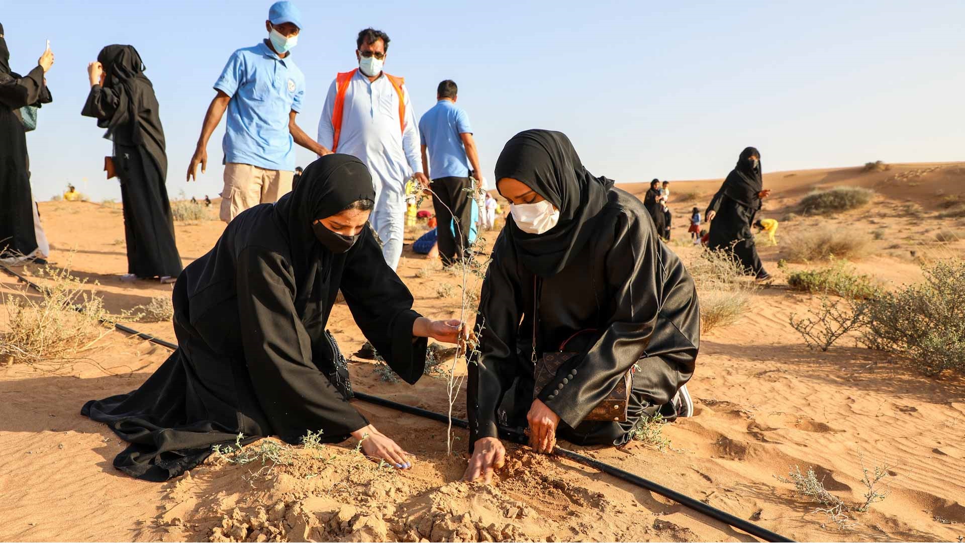 صورة بعنوان: "البيئة والمحميات" بالشارقة تختتم برنامج "يوم في المحمية" للعائلات 