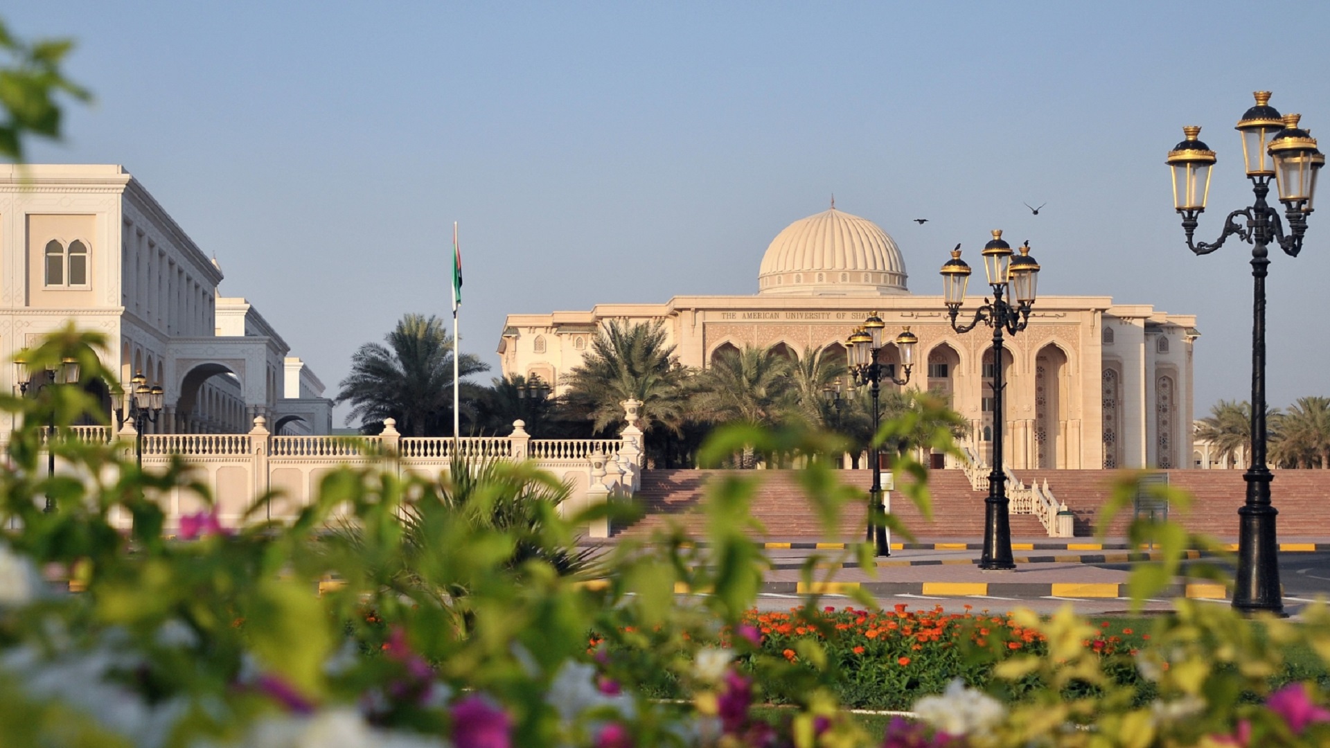 صورة بعنوان: خريجة من أميركية الشارقة تفوز بأفضل بحث في "مؤتمر الدراسات العليا" 