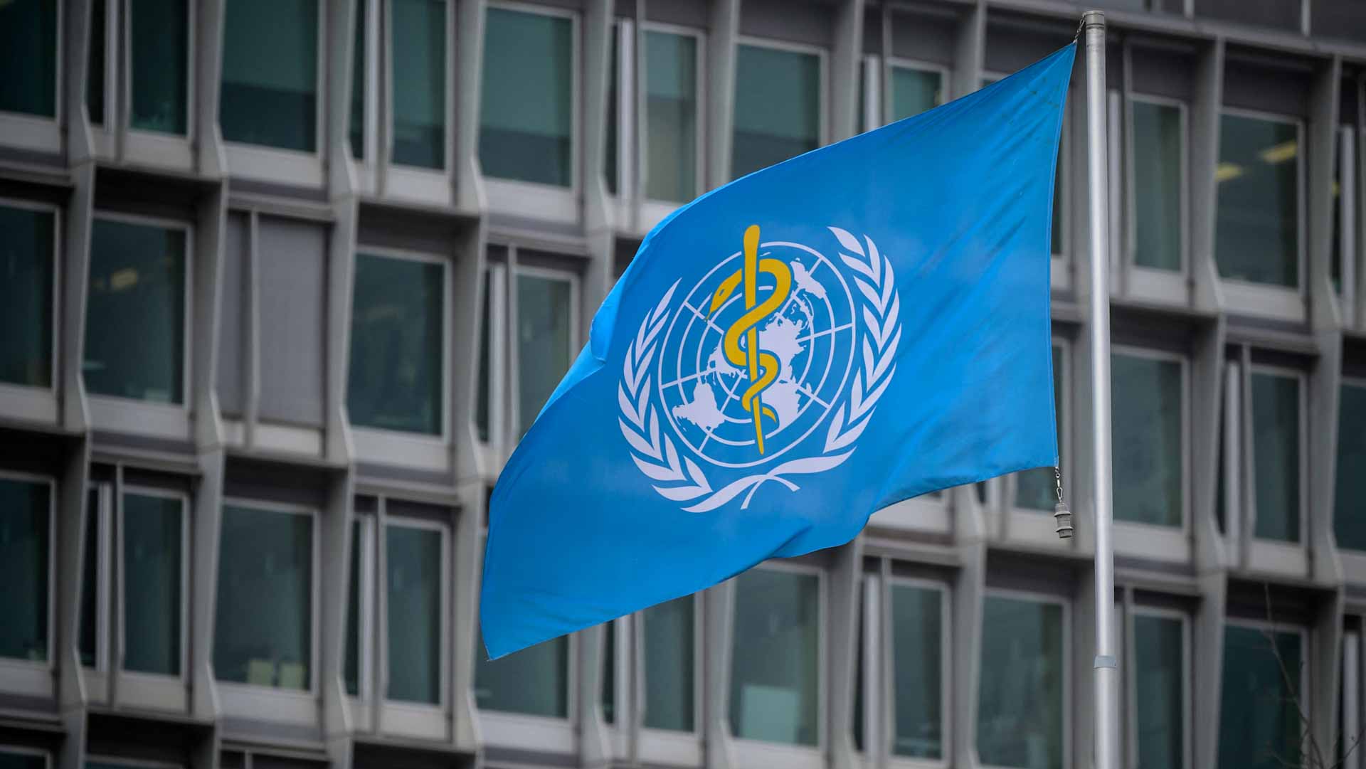 صورة بعنوان: منظمة الصحة تتوقع انتهاء المرحلة الحرجة من كورونا في 2022 