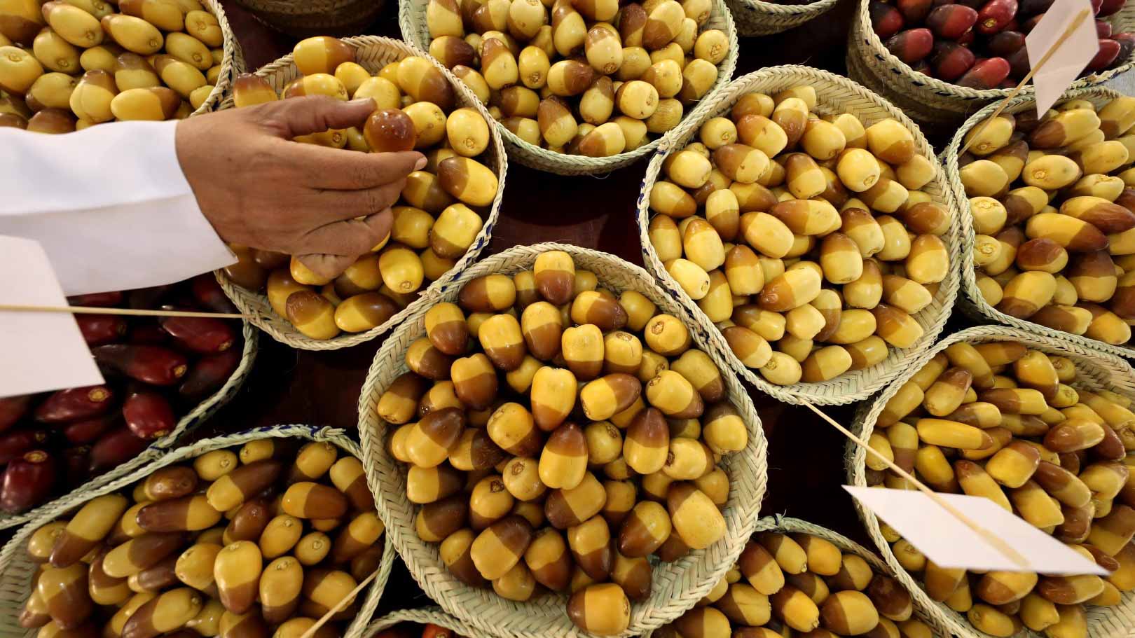 صورة بعنوان: مهرجان ليوا للرطب ينطلق 15 يوليو بدورته الـ17  