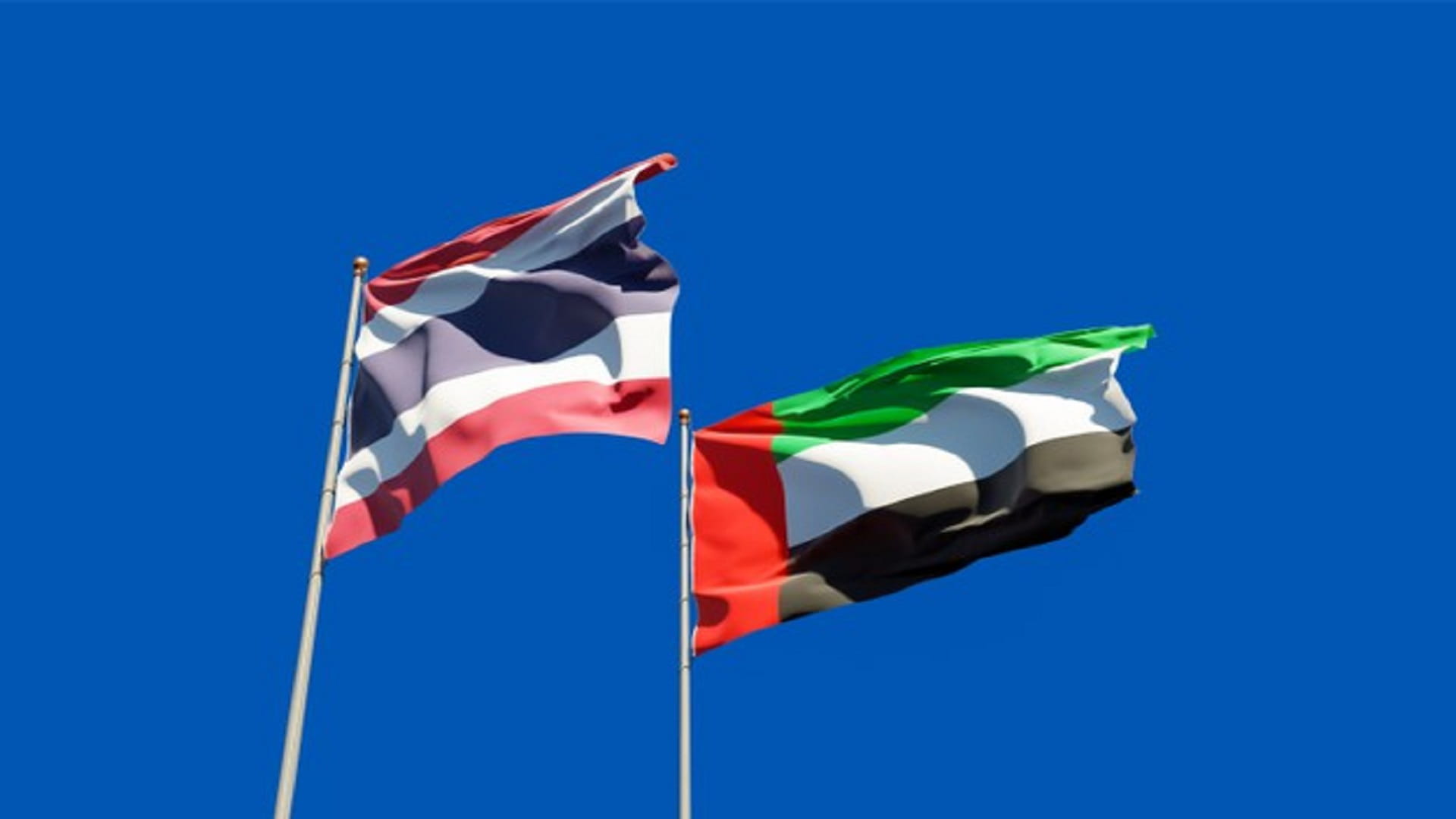 صورة بعنوان: اللجنة المشتركة بين الإمارات وتايلاند تبحث التعاون بين البلدين 