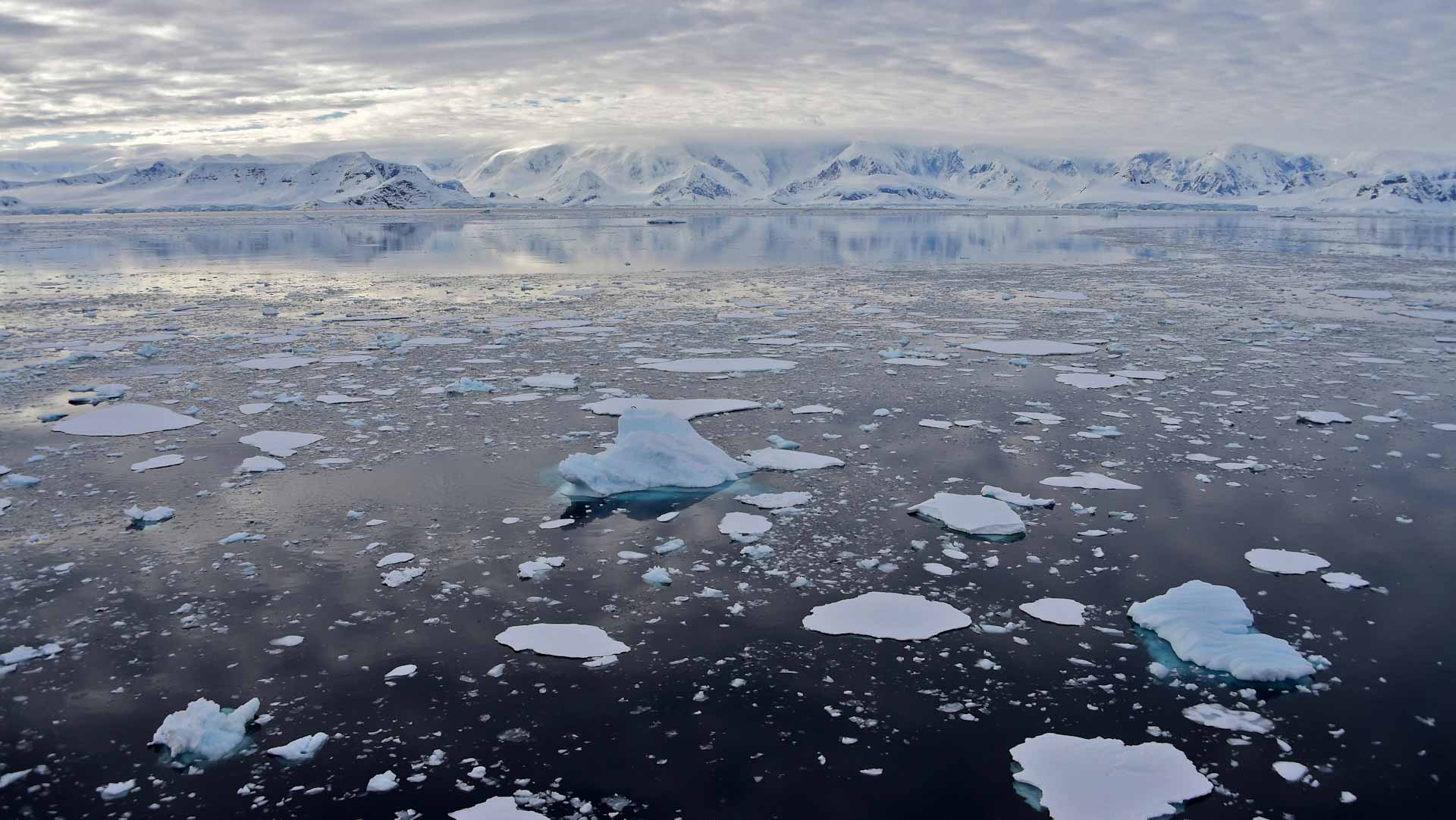 Image for the title: UN confirms 18.3C record heat in Antarctica 